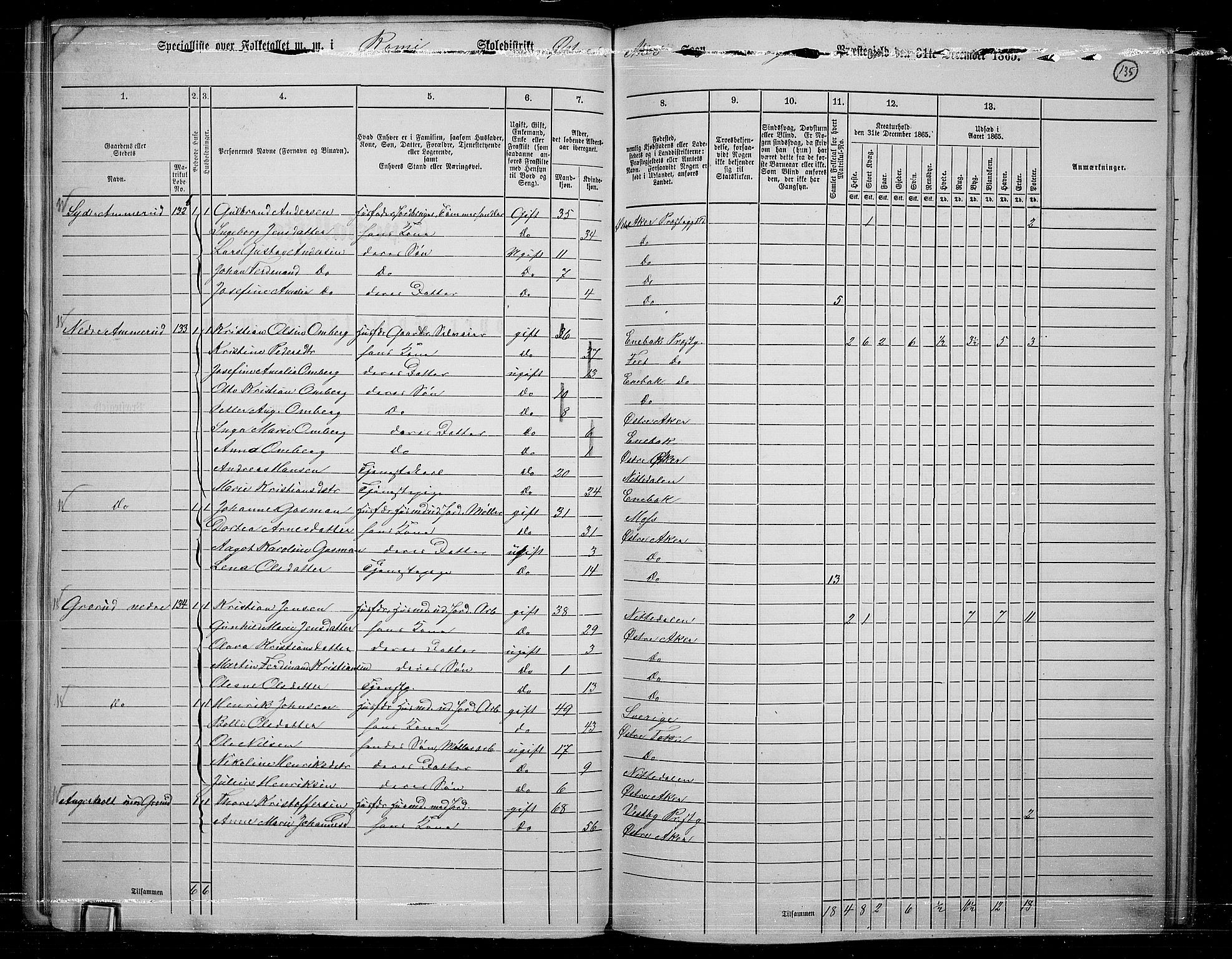 RA, 1865 census for Østre Aker, 1865, p. 128