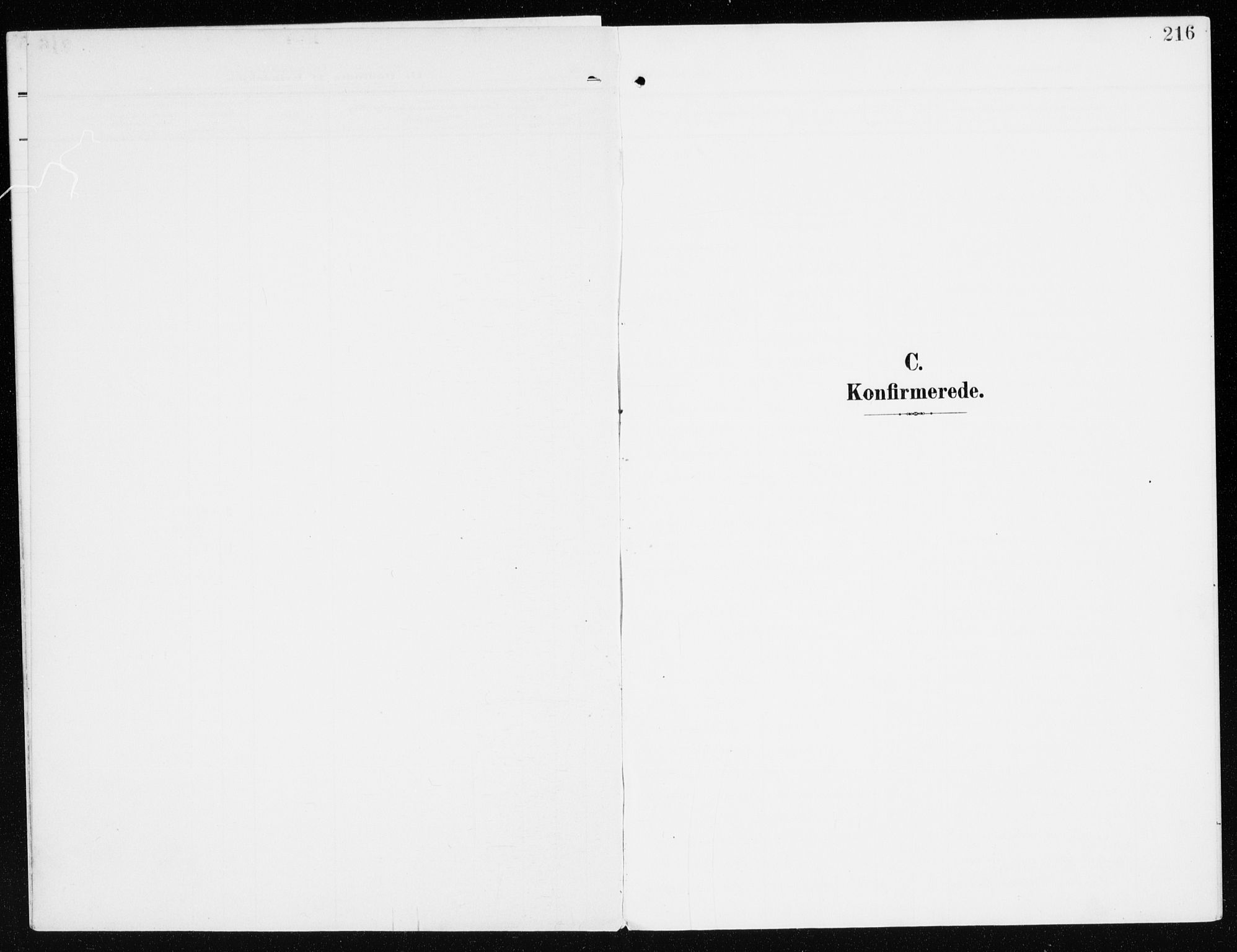 Furnes prestekontor, SAH/PREST-012/K/Ka/L0001: Parish register (official) no. 1, 1907-1935, p. 216