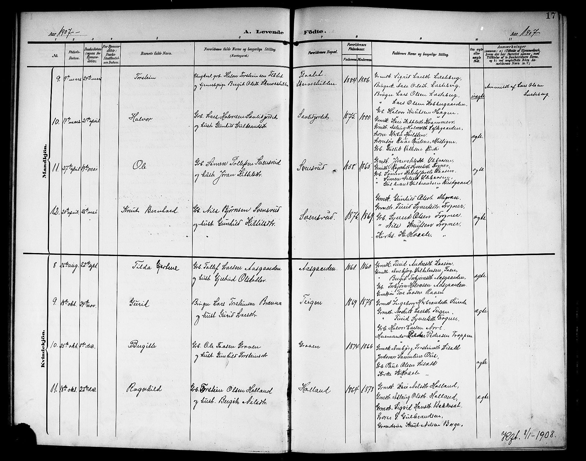 Nore kirkebøker, AV/SAKO-A-238/G/Ga/L0004: Parish register (copy) no. I 4, 1904-1919, p. 17