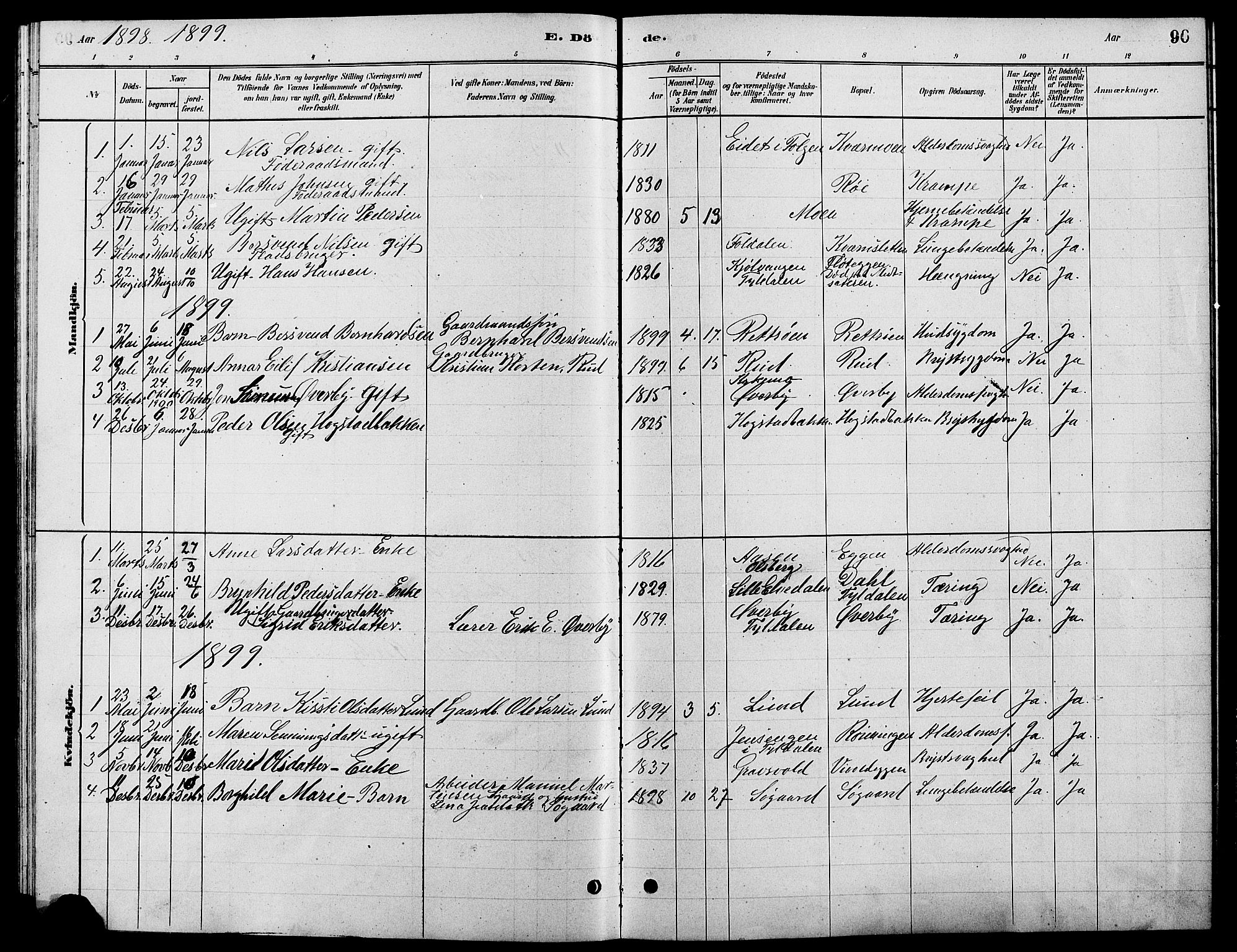 Tynset prestekontor, SAH/PREST-058/H/Ha/Hab/L0007: Parish register (copy) no. 7, 1880-1901, p. 96