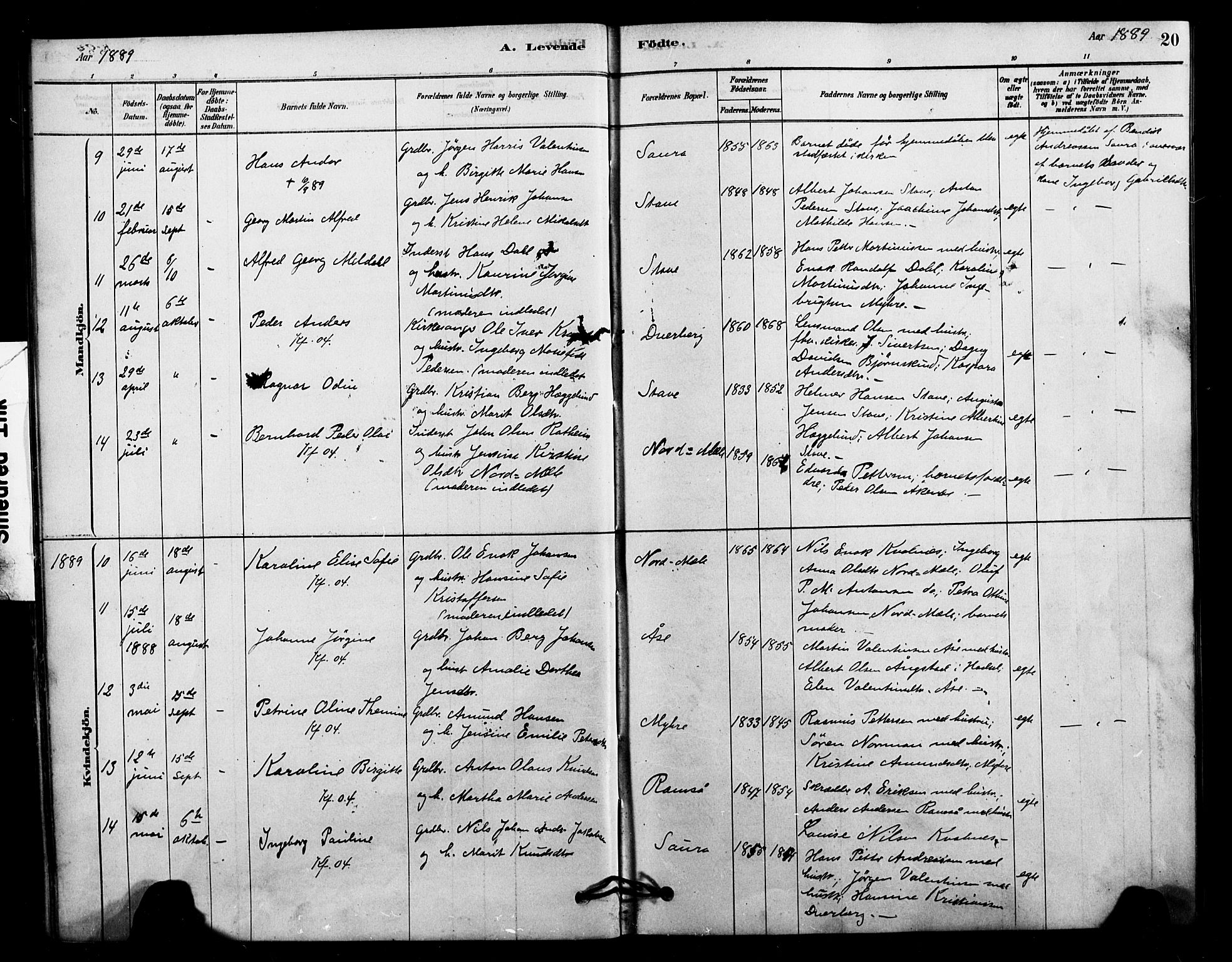 Ministerialprotokoller, klokkerbøker og fødselsregistre - Nordland, AV/SAT-A-1459/897/L1399: Parish register (official) no. 897C06, 1881-1896, p. 20