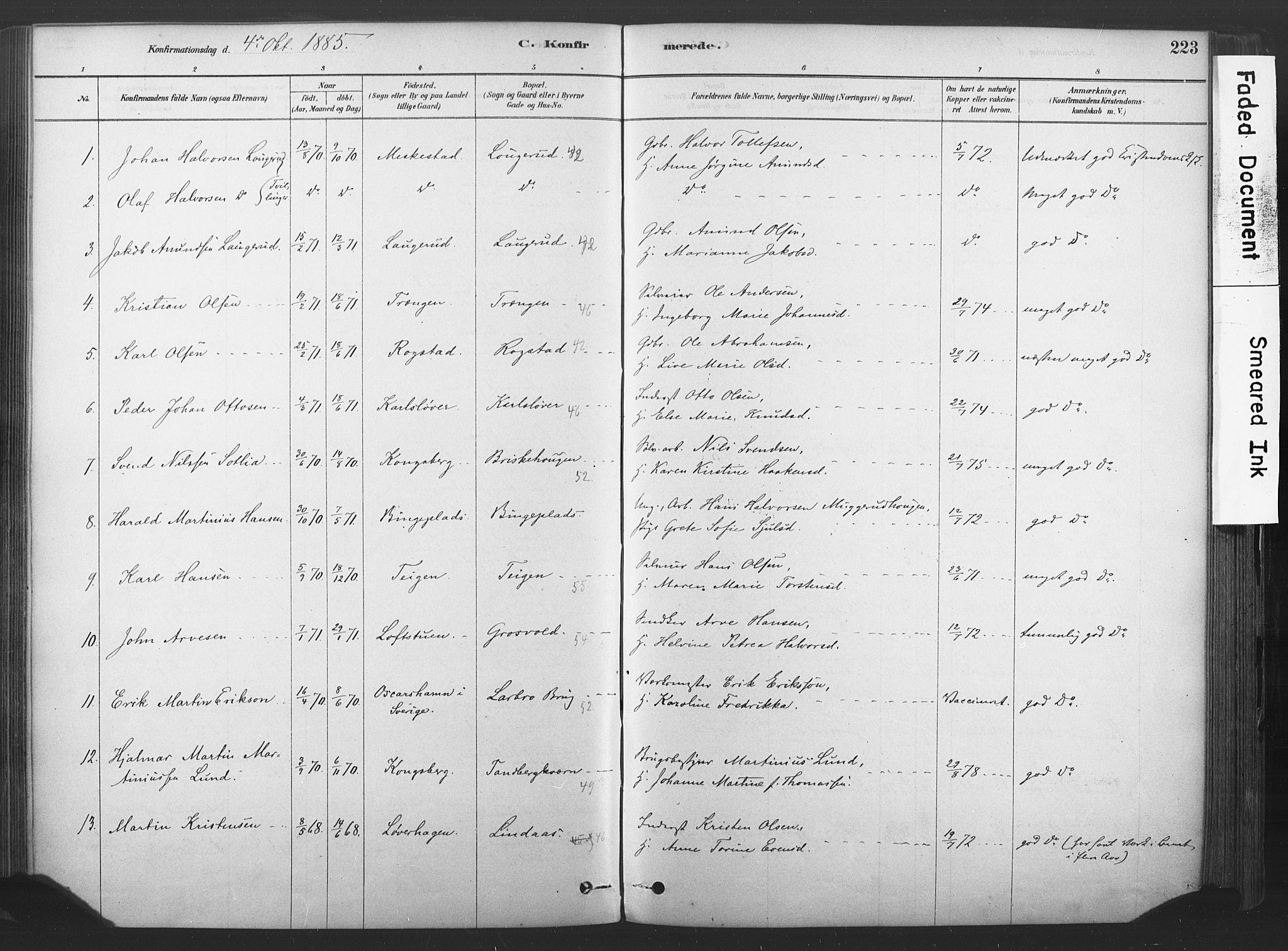 Sandsvær kirkebøker, SAKO/A-244/F/Fd/L0001: Parish register (official) no. IV 1, 1878-1906, p. 223