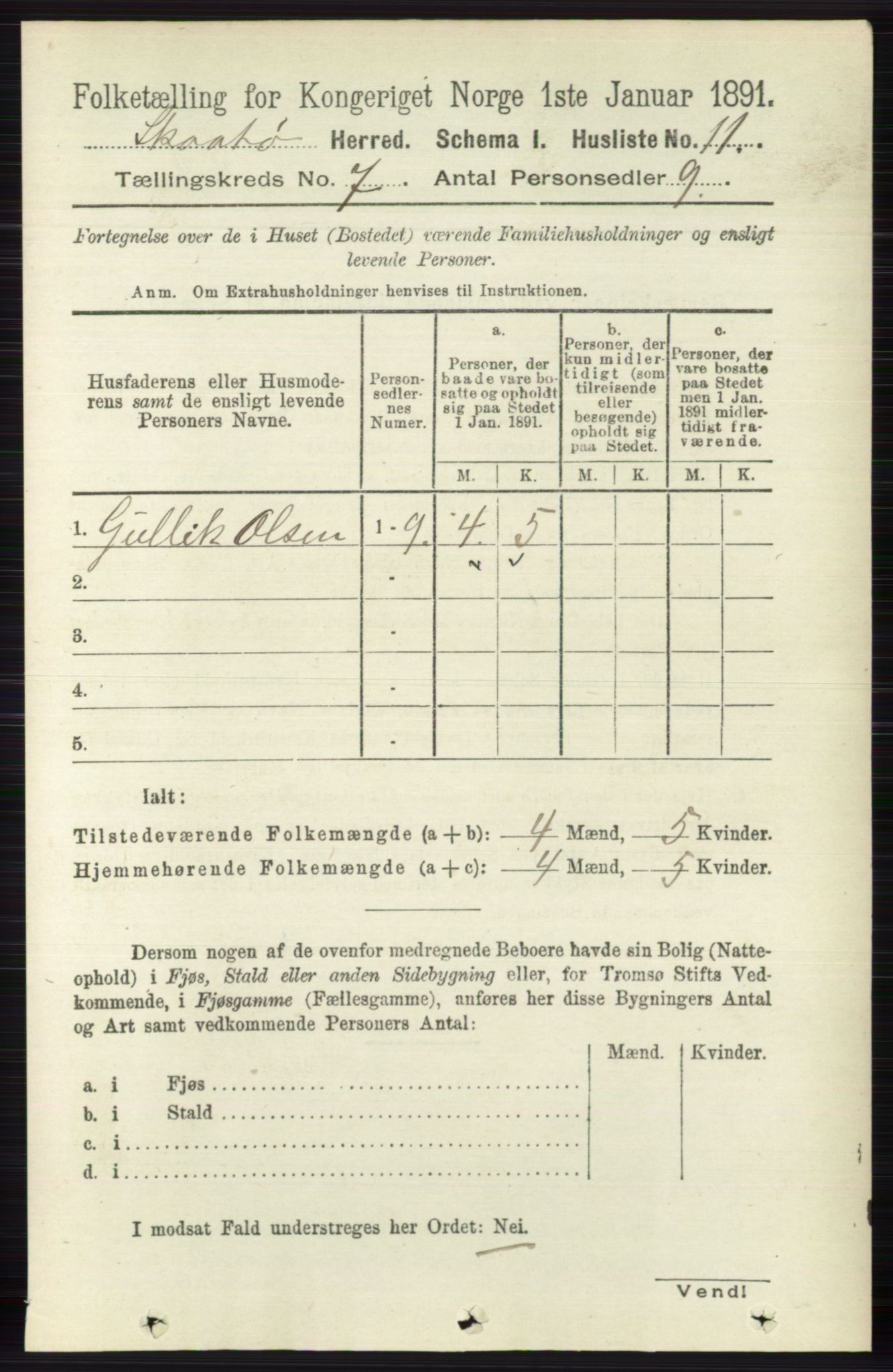 RA, 1891 census for 0815 Skåtøy, 1891, p. 3008