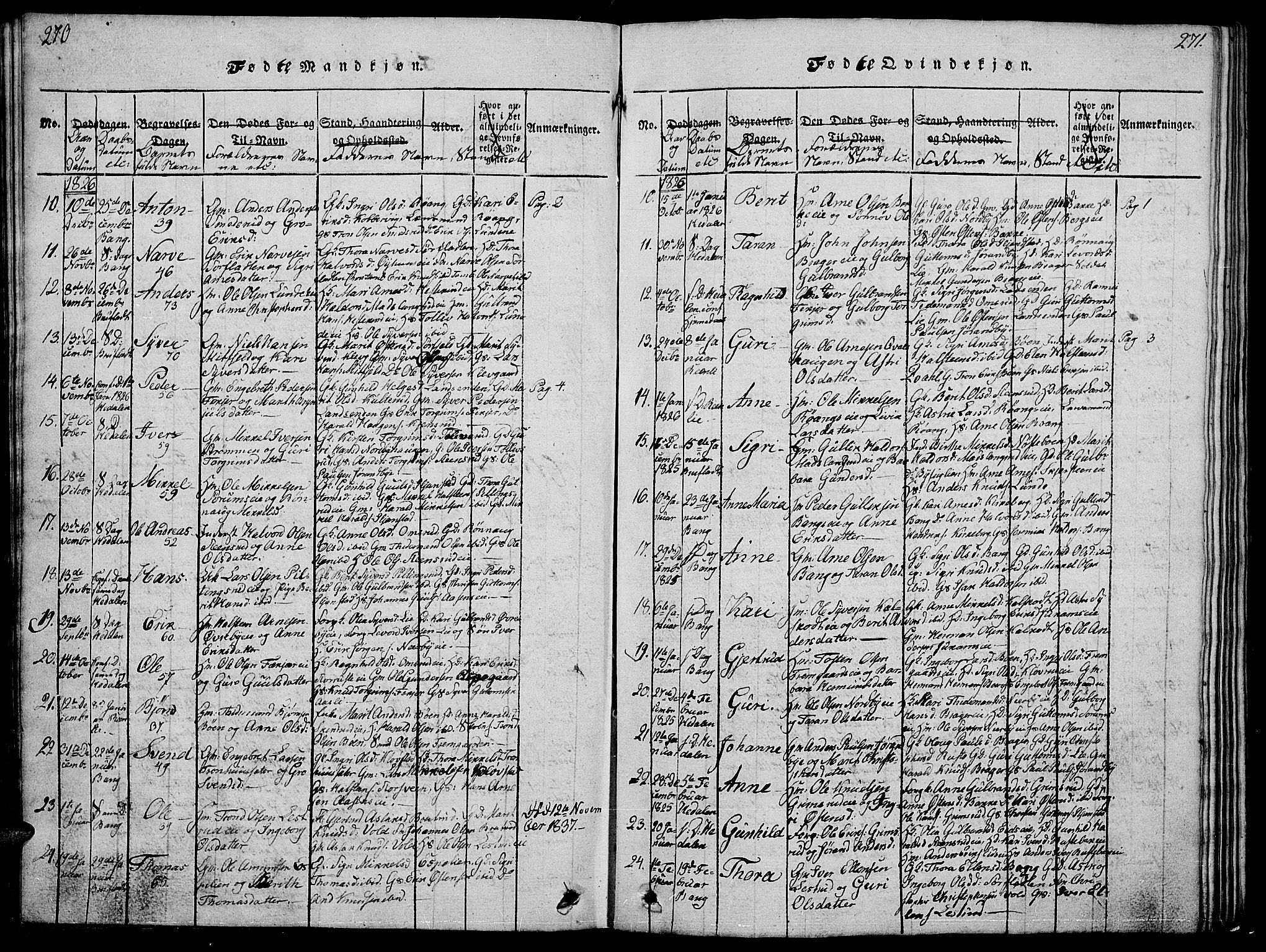 Sør-Aurdal prestekontor, SAH/PREST-128/H/Ha/Hab/L0001: Parish register (copy) no. 1, 1815-1826, p. 270-271