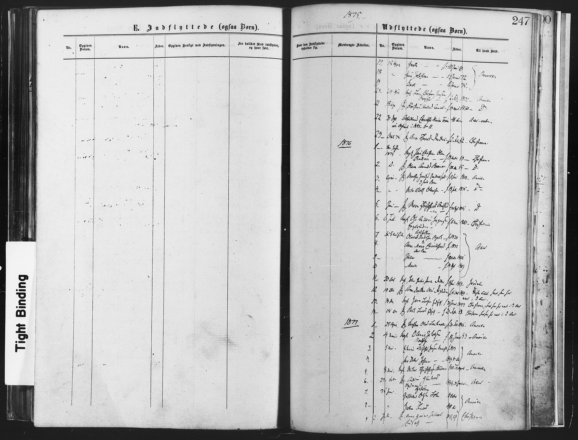 Nannestad prestekontor Kirkebøker, SAO/A-10414a/F/Fa/L0013: Parish register (official) no. I 13, 1873-1880, p. 247