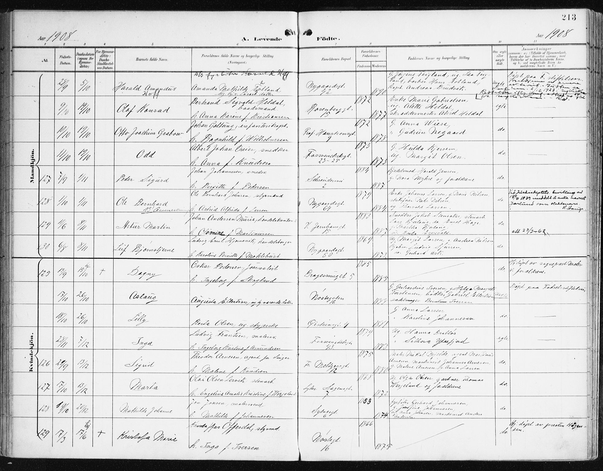 Johanneskirken sokneprestembete, AV/SAB-A-76001/H/Haa/L0002: Parish register (official) no. A 2, 1900-1912, p. 213