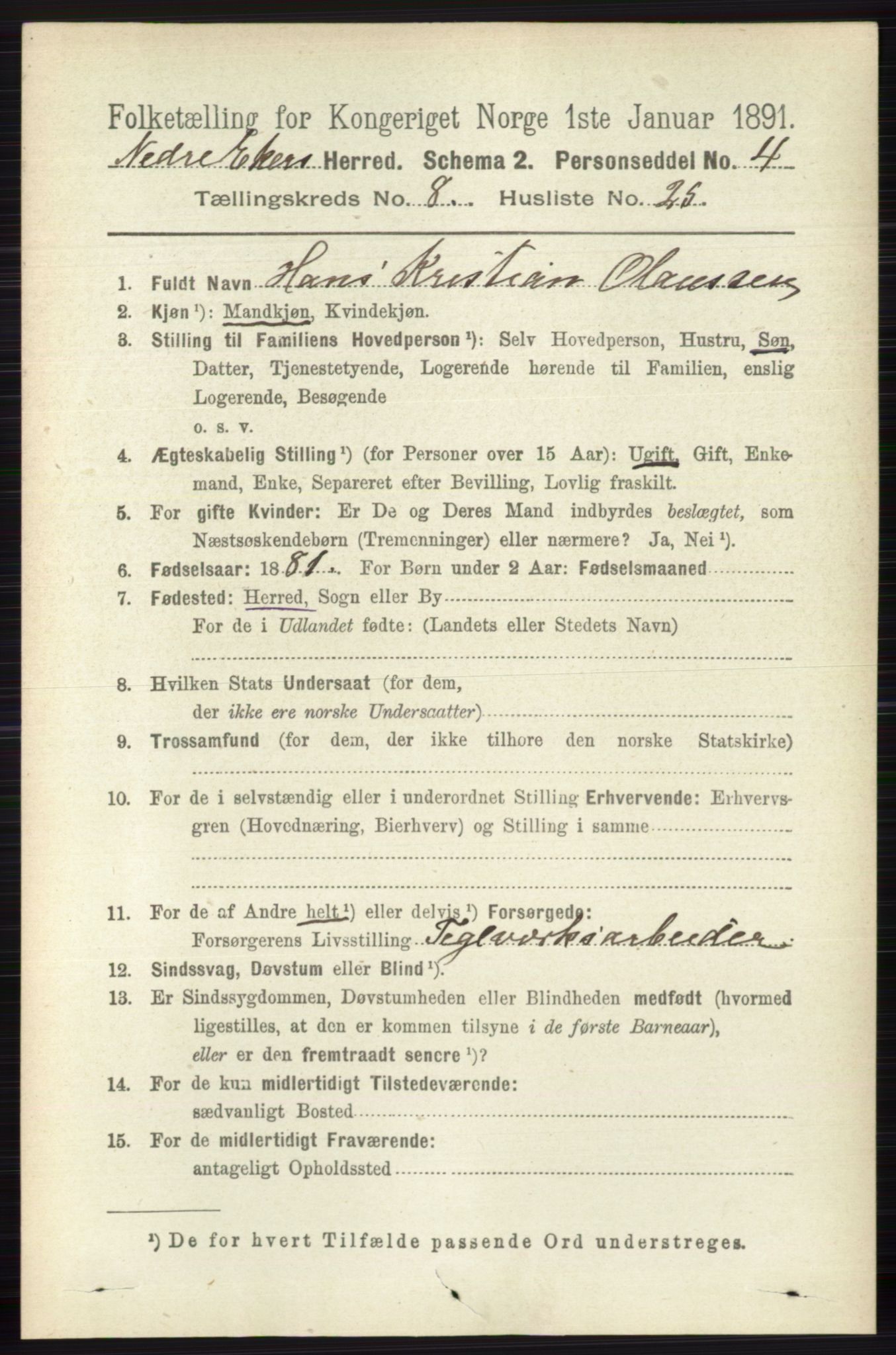 RA, 1891 census for 0625 Nedre Eiker, 1891, p. 4105