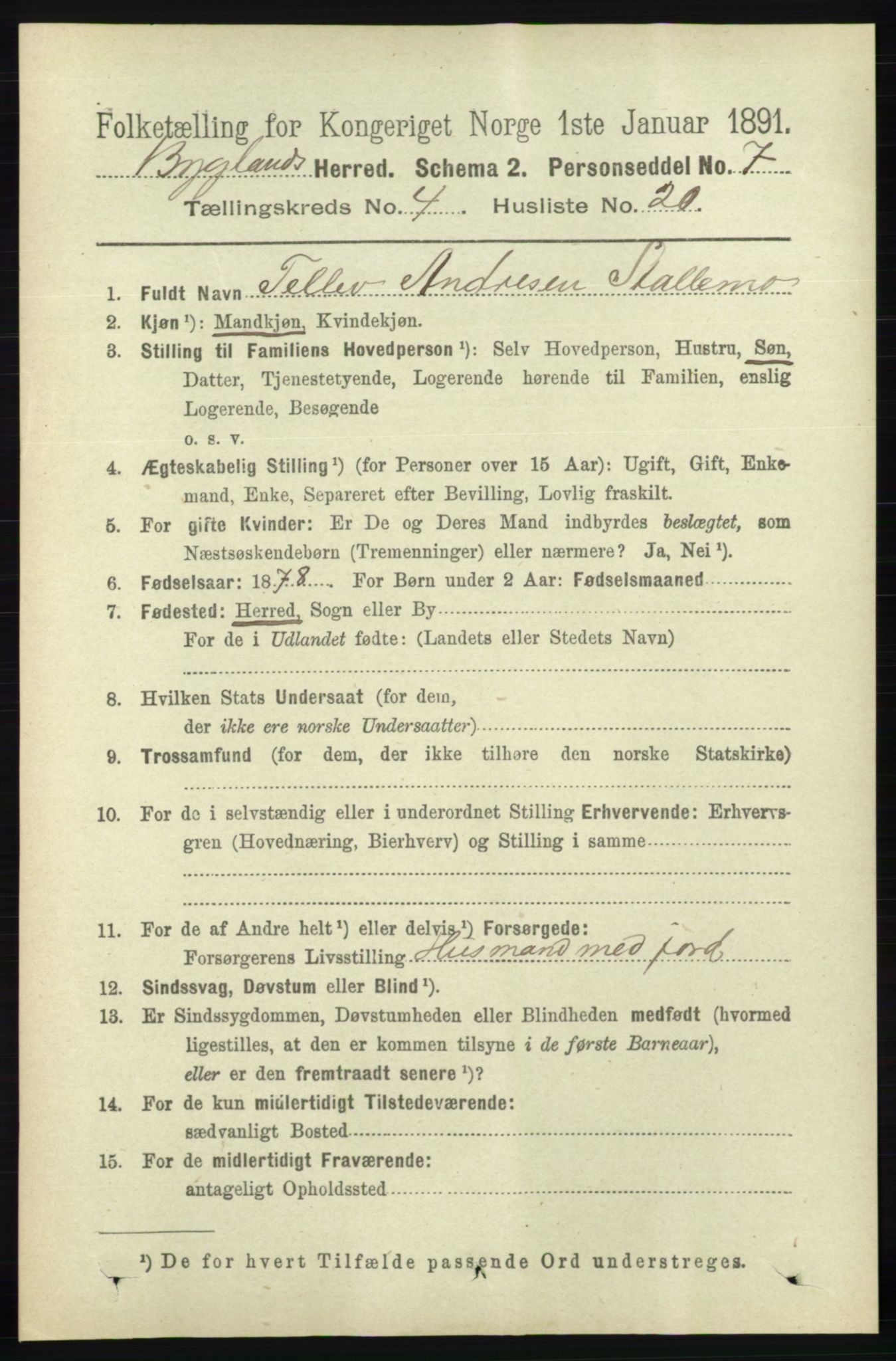 RA, 1891 census for 0938 Bygland, 1891, p. 985