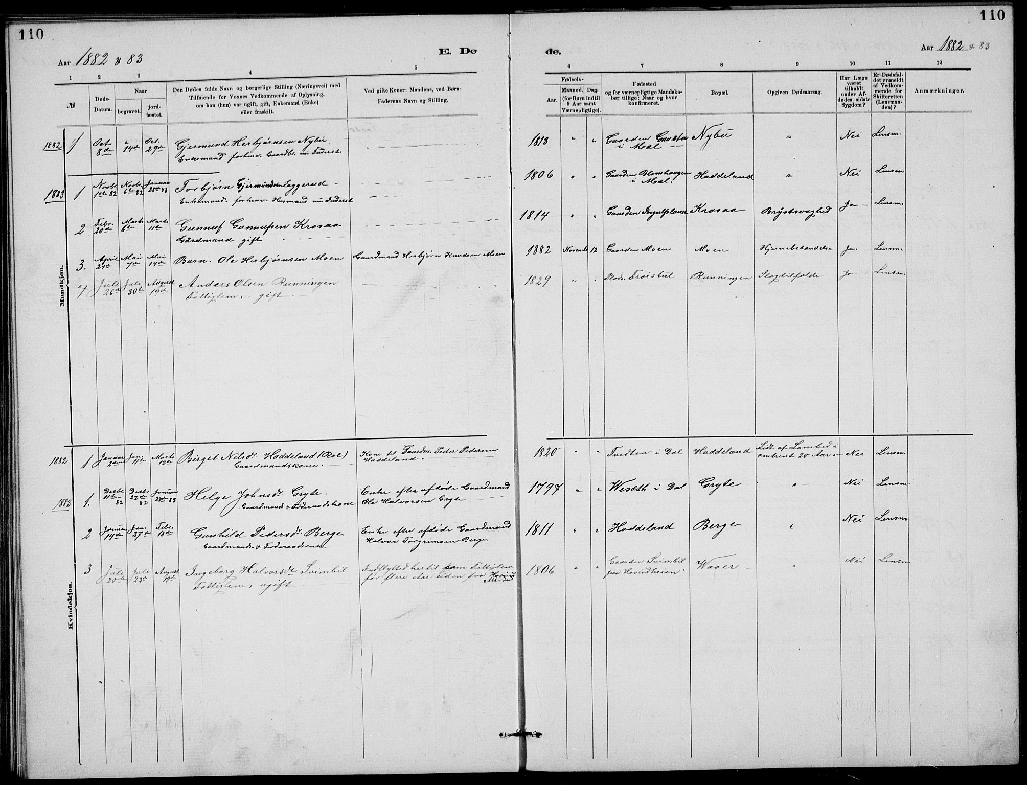 Rjukan kirkebøker, SAKO/A-294/G/Ga/L0001: Parish register (copy) no. 1, 1880-1914, p. 110