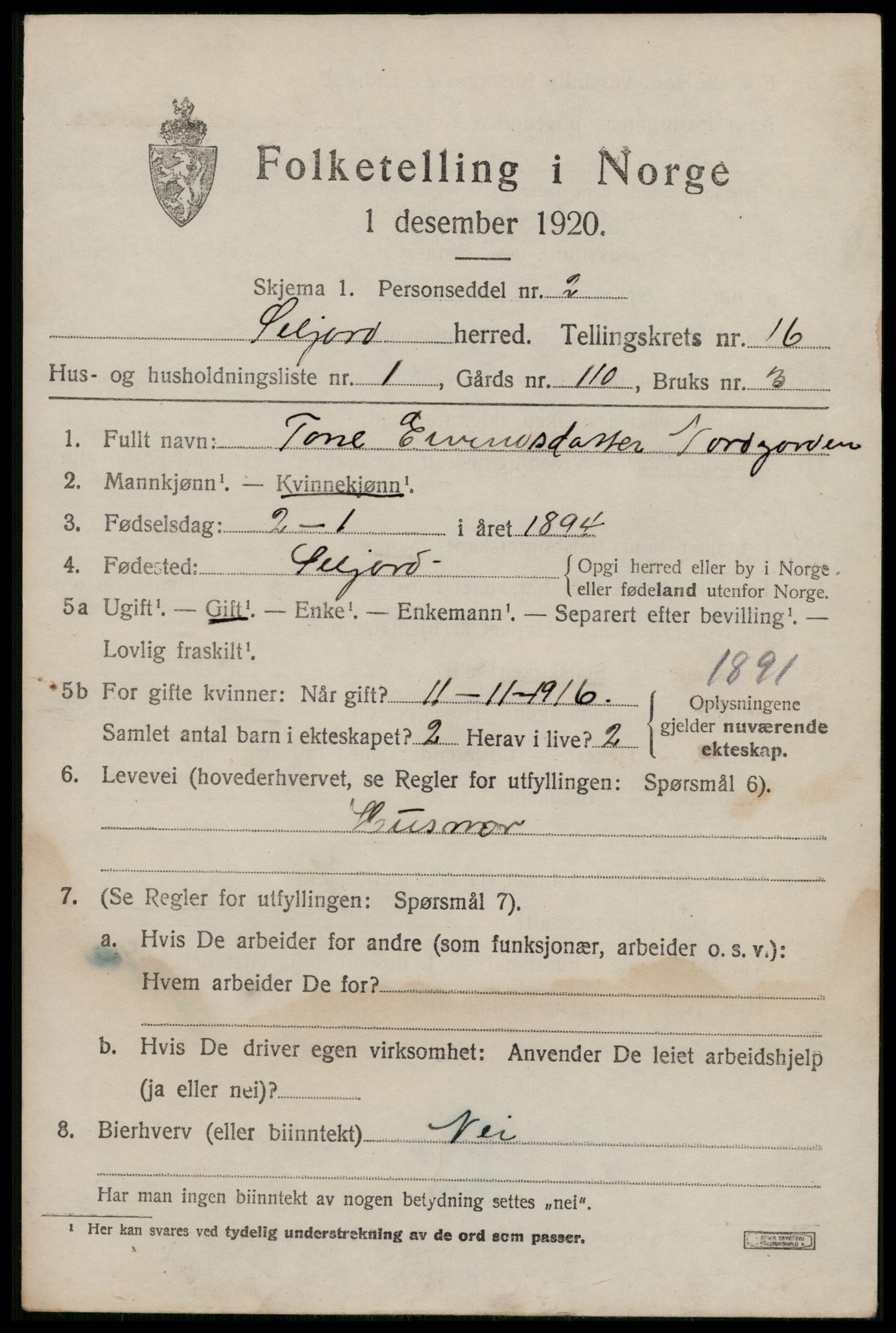 SAKO, 1920 census for Seljord, 1920, p. 6772