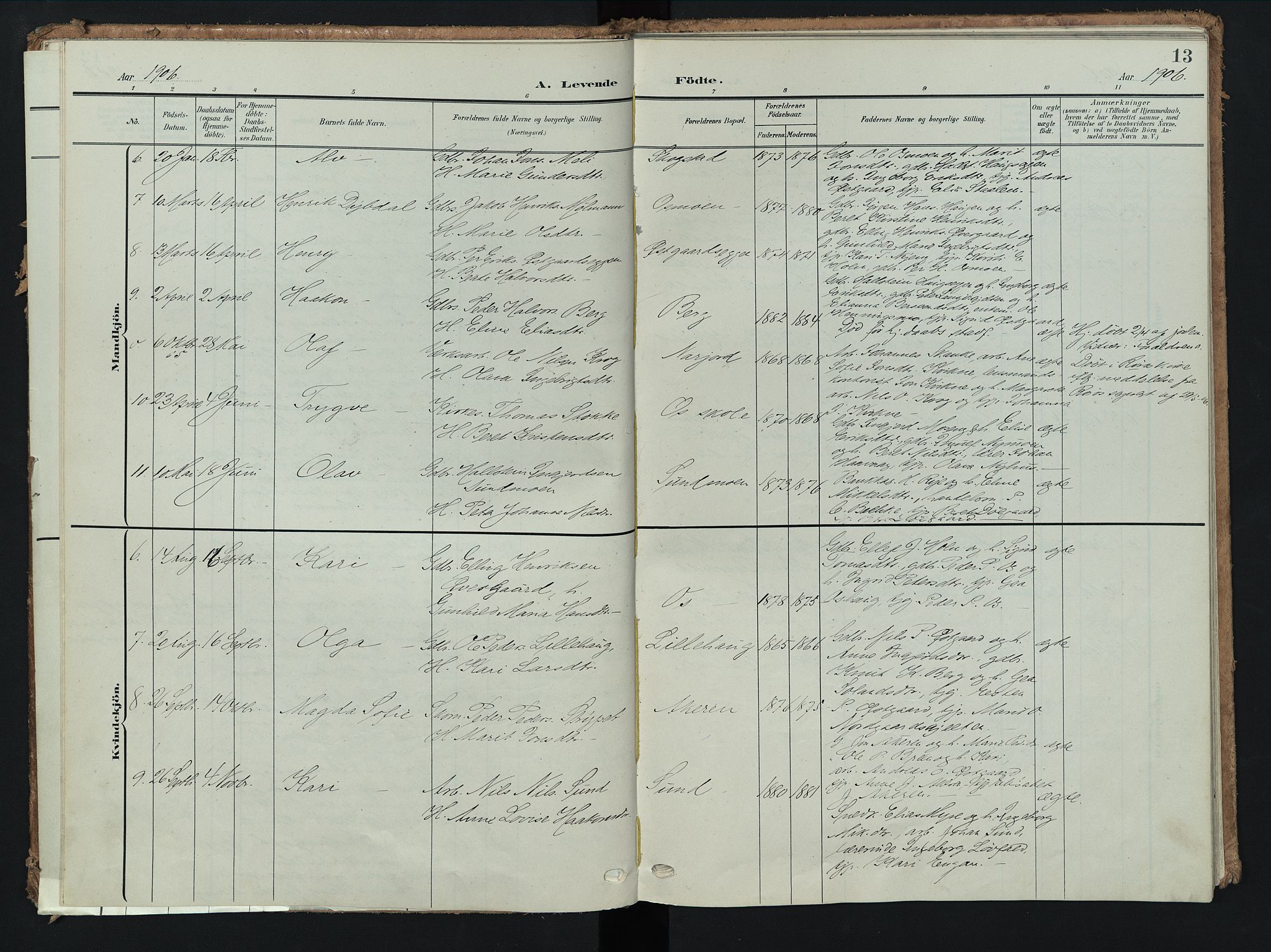 Tolga prestekontor, AV/SAH-PREST-062/K/L0009: Parish register (official) no. 9, 1903-1928, p. 13