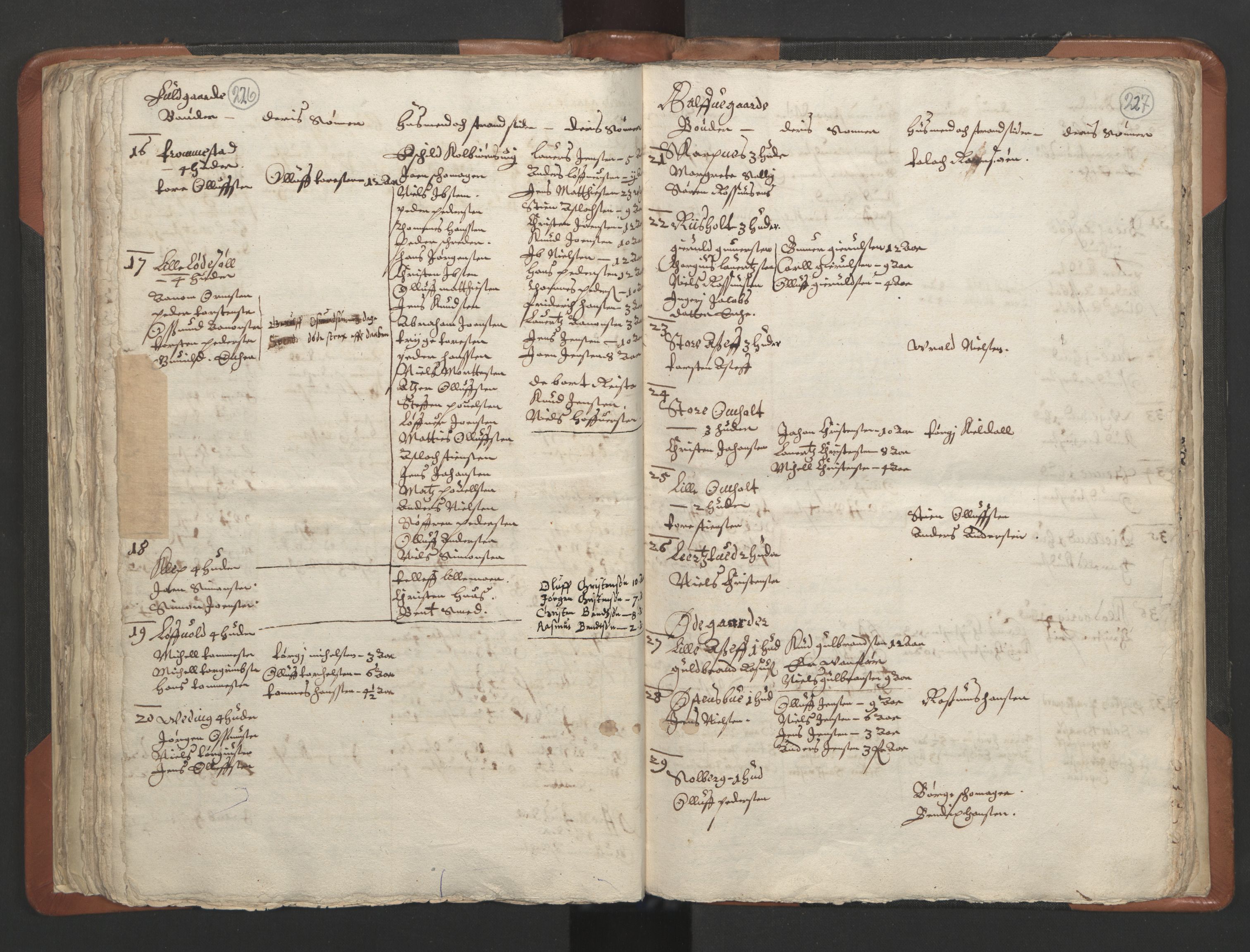 RA, Vicar's Census 1664-1666, no. 13: Nedenes deanery, 1664-1666, p. 226-227