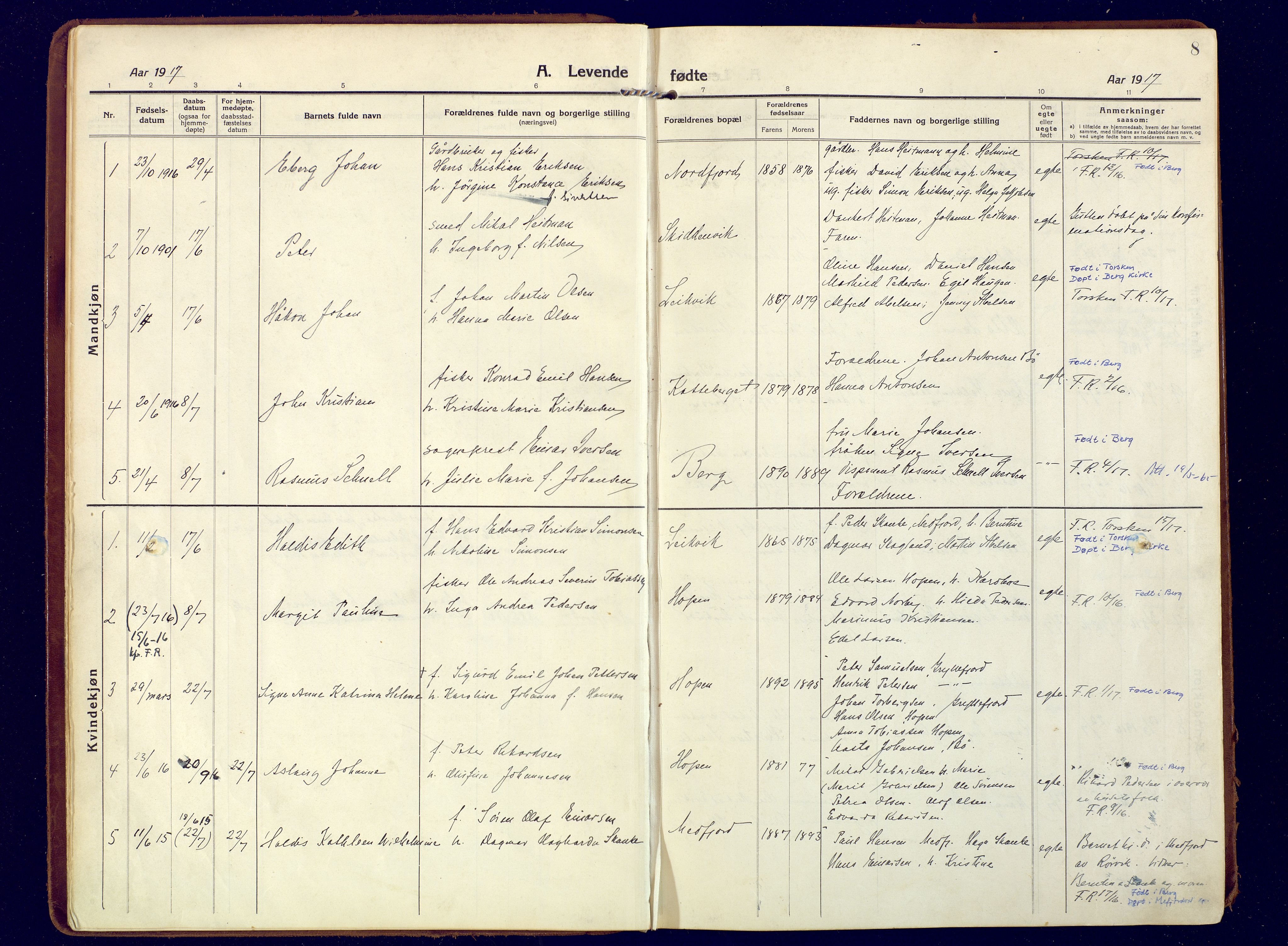 Berg sokneprestkontor, SATØ/S-1318/G/Ga/Gaa: Parish register (official) no. 9, 1916-1928, p. 8