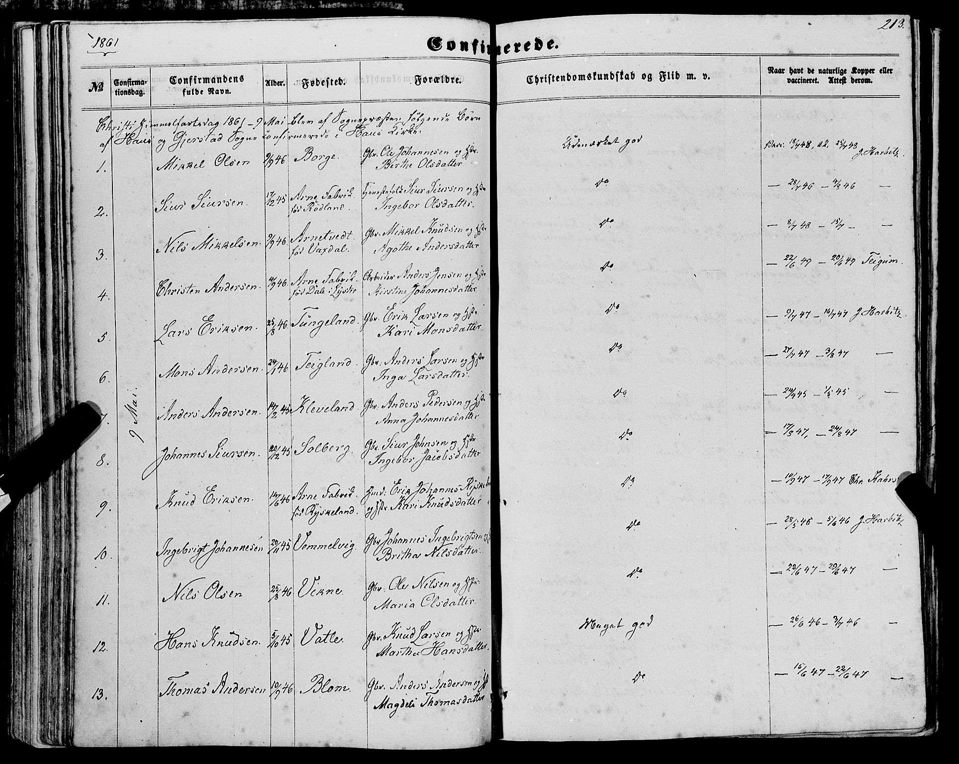 Haus sokneprestembete, SAB/A-75601/H/Haa: Parish register (official) no. A 17, 1858-1870, p. 213