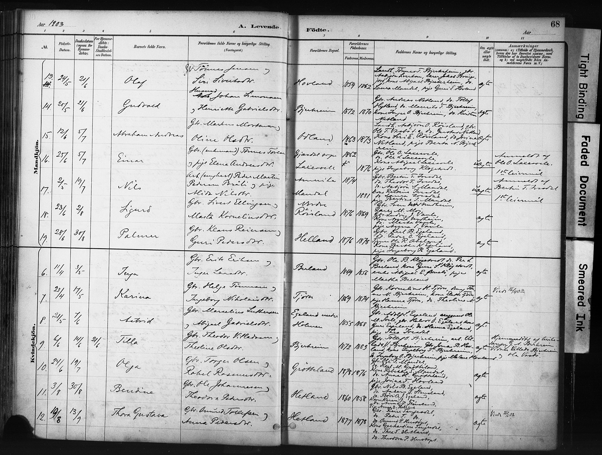 Helleland sokneprestkontor, AV/SAST-A-101810: Parish register (official) no. A 9, 1887-1908, p. 68