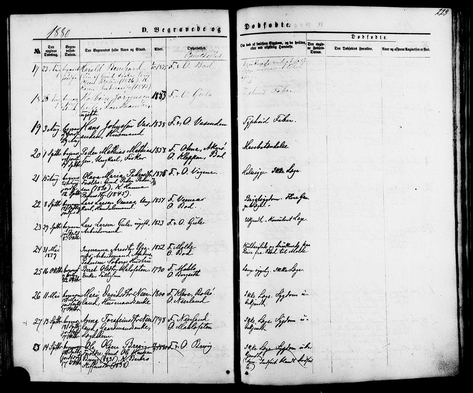 Ministerialprotokoller, klokkerbøker og fødselsregistre - Møre og Romsdal, AV/SAT-A-1454/566/L0768: Parish register (official) no. 566A07, 1869-1881, p. 228