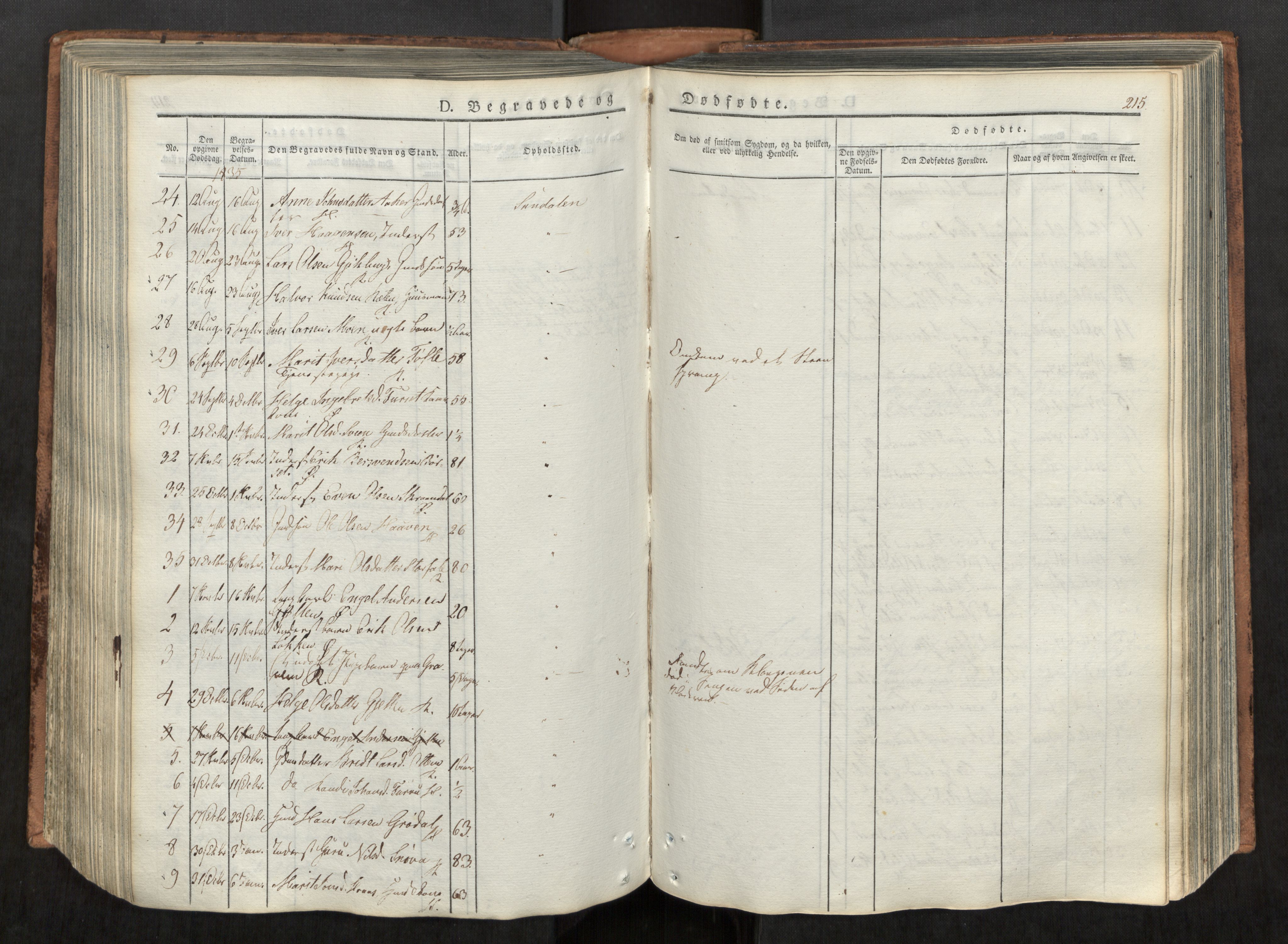 Ministerialprotokoller, klokkerbøker og fødselsregistre - Møre og Romsdal, SAT/A-1454/590/L1012: Parish register (official) no. 590A04, 1832-1846, p. 215