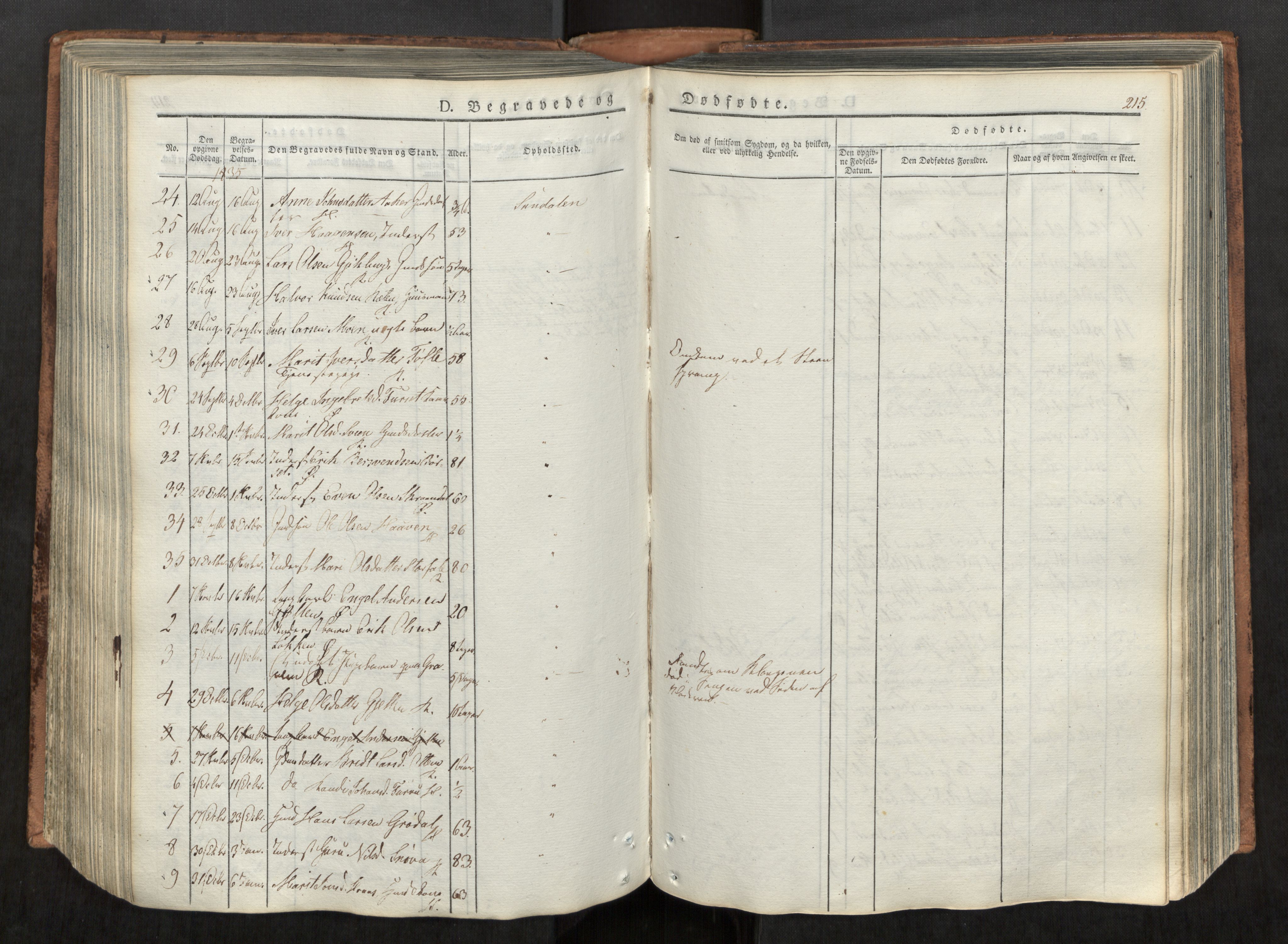 Ministerialprotokoller, klokkerbøker og fødselsregistre - Møre og Romsdal, AV/SAT-A-1454/590/L1012: Parish register (official) no. 590A04, 1832-1846, p. 215