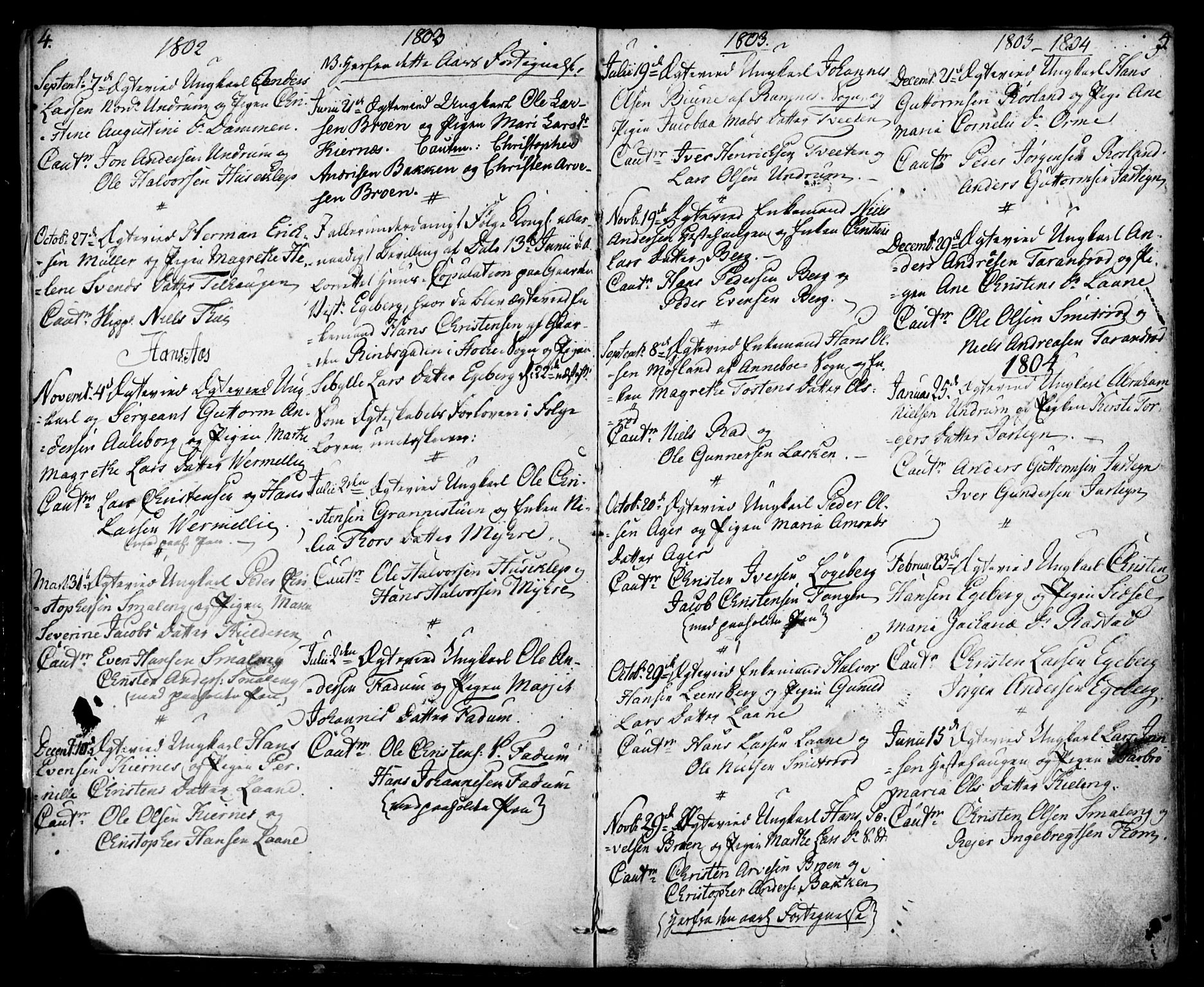 Sem kirkebøker, AV/SAKO-A-5/F/Fa/L0003: Parish register (official) no. I 3, 1799-1814, p. 4-5