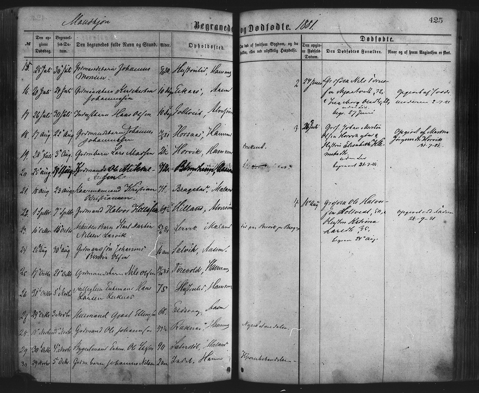 Hamre sokneprestembete, SAB/A-75501/H/Ha/Haa/Haaa/L0015: Parish register (official) no. A 15, 1870-1881, p. 425