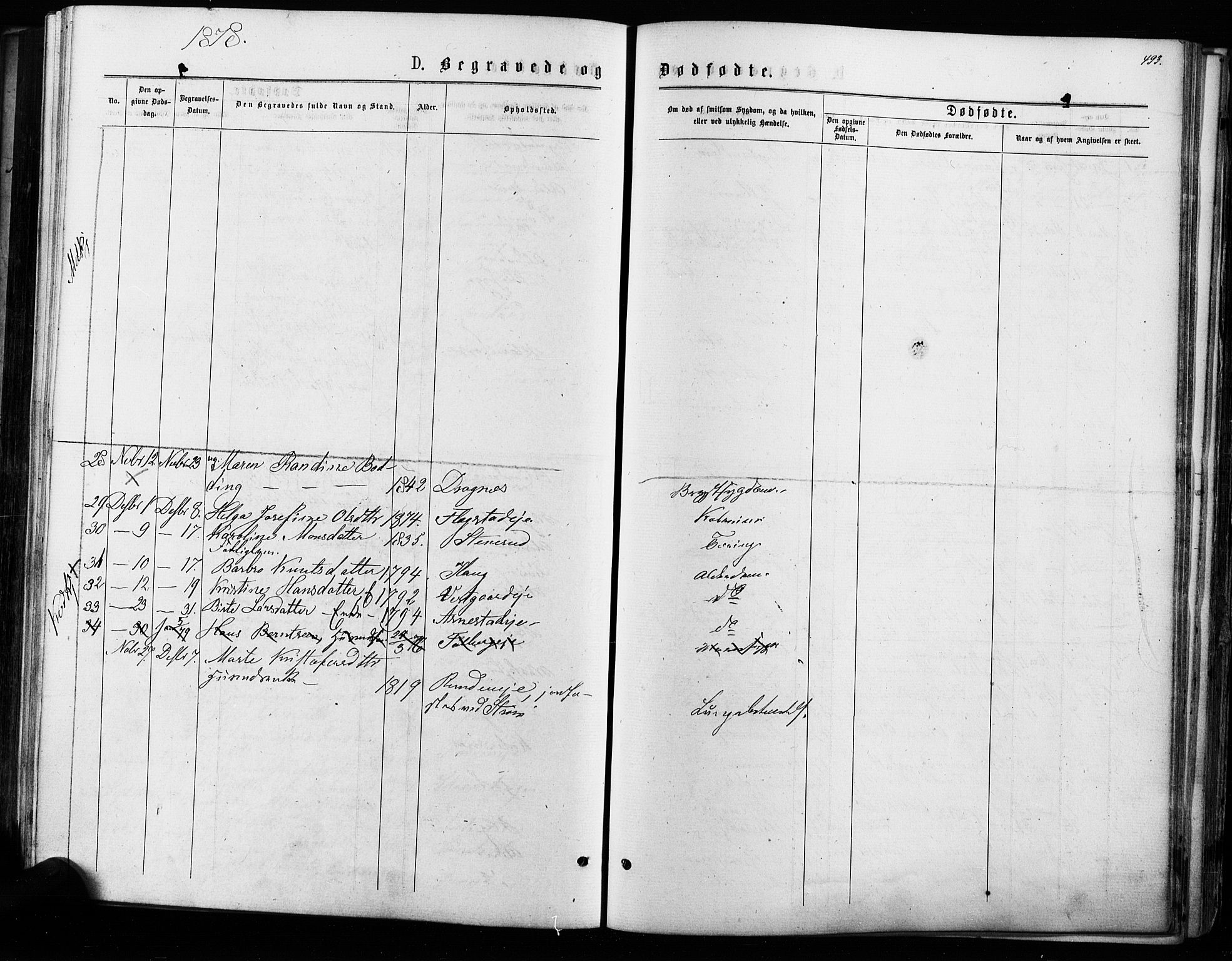 Nes prestekontor Kirkebøker, AV/SAO-A-10410/F/Fa/L0009: Parish register (official) no. I 9, 1875-1882, p. 493