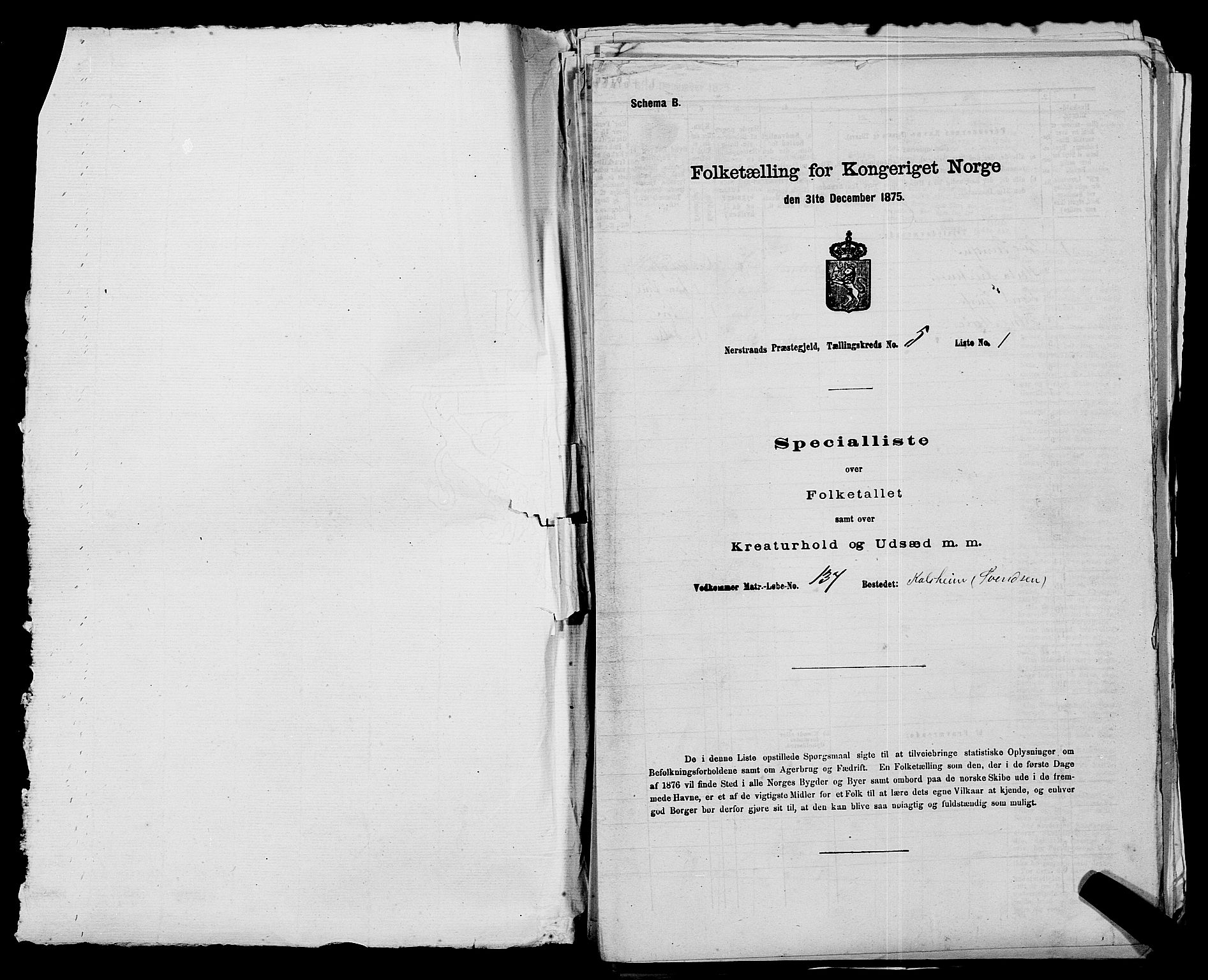 SAST, 1875 census for 1139P Nedstrand, 1875, p. 335