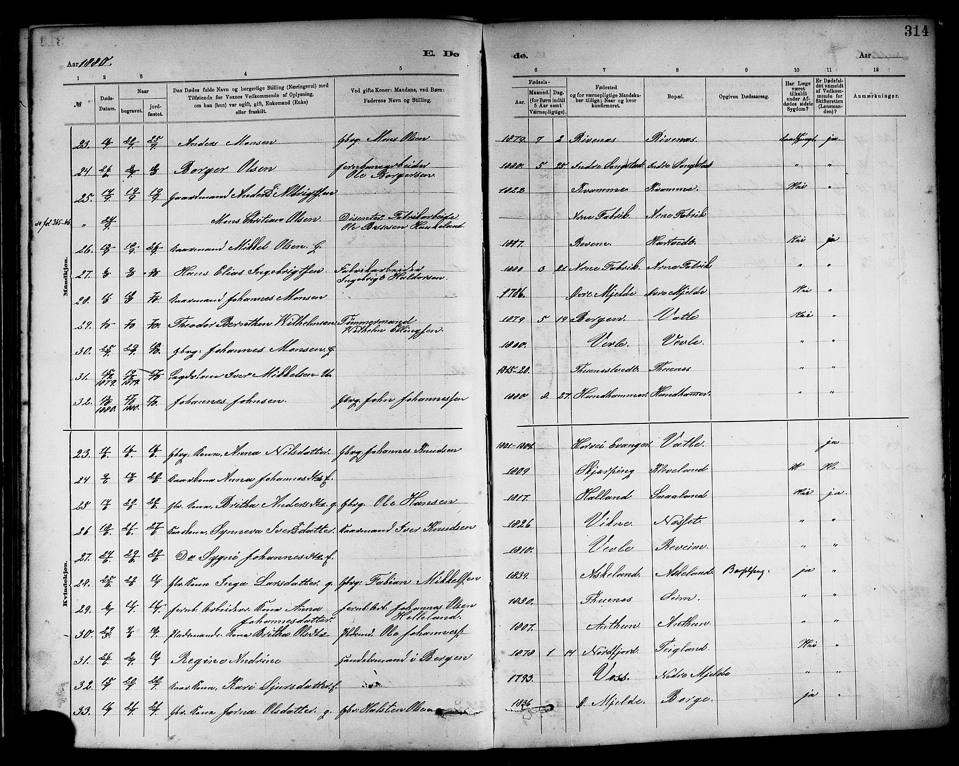 Haus sokneprestembete, AV/SAB-A-75601/H/Haa: Parish register (official) no. A 19II, 1878-1886, p. 314