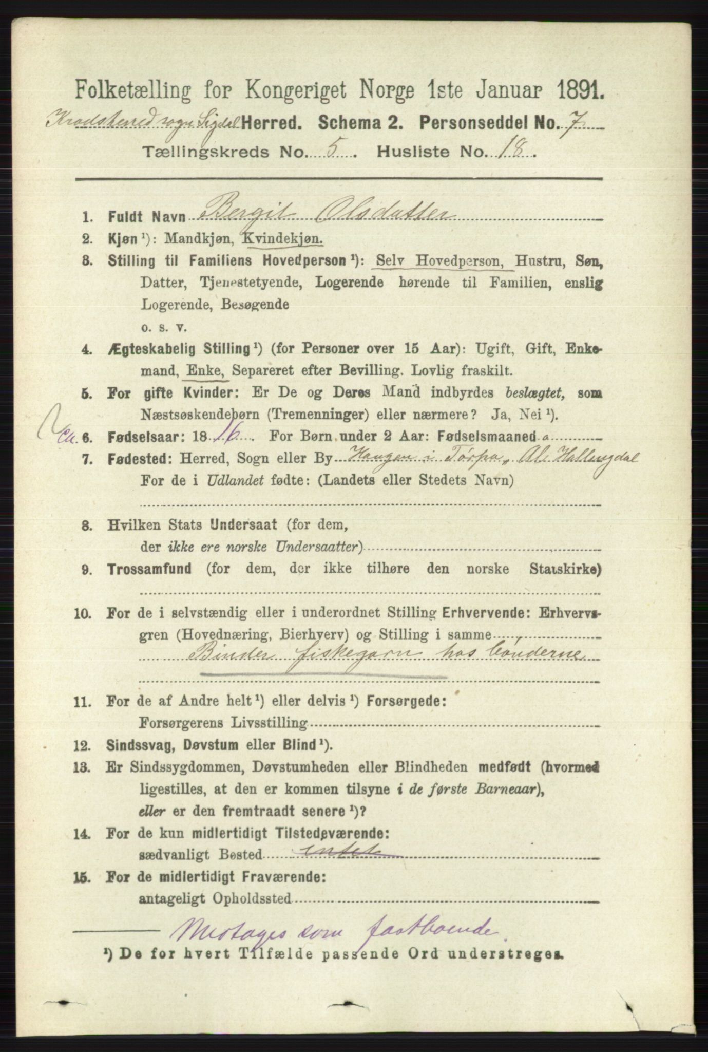 RA, 1891 census for 0621 Sigdal, 1891, p. 6419