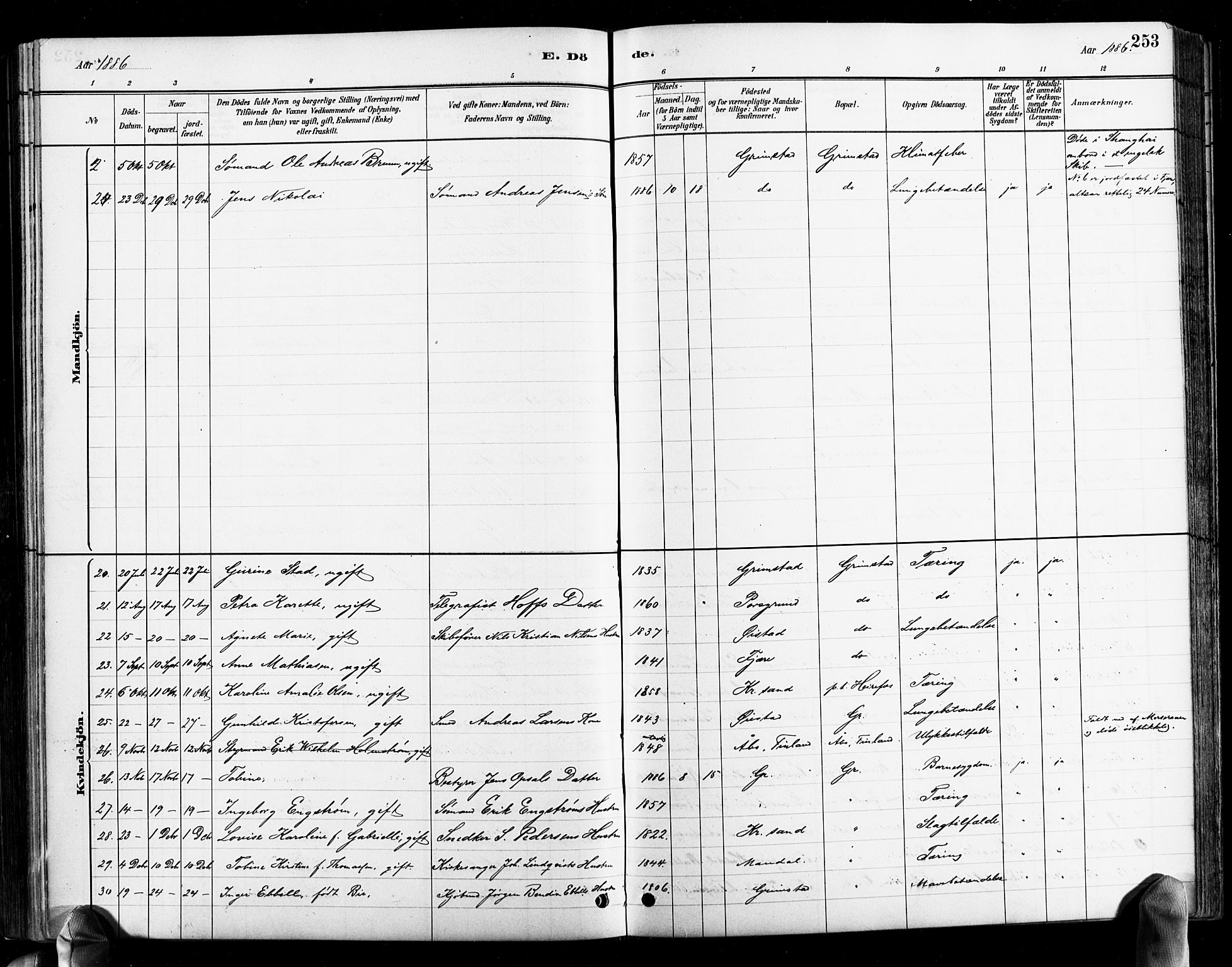 Grimstad sokneprestkontor, AV/SAK-1111-0017/F/Fb/L0001: Parish register (copy) no. B 1, 1881-1922, p. 253