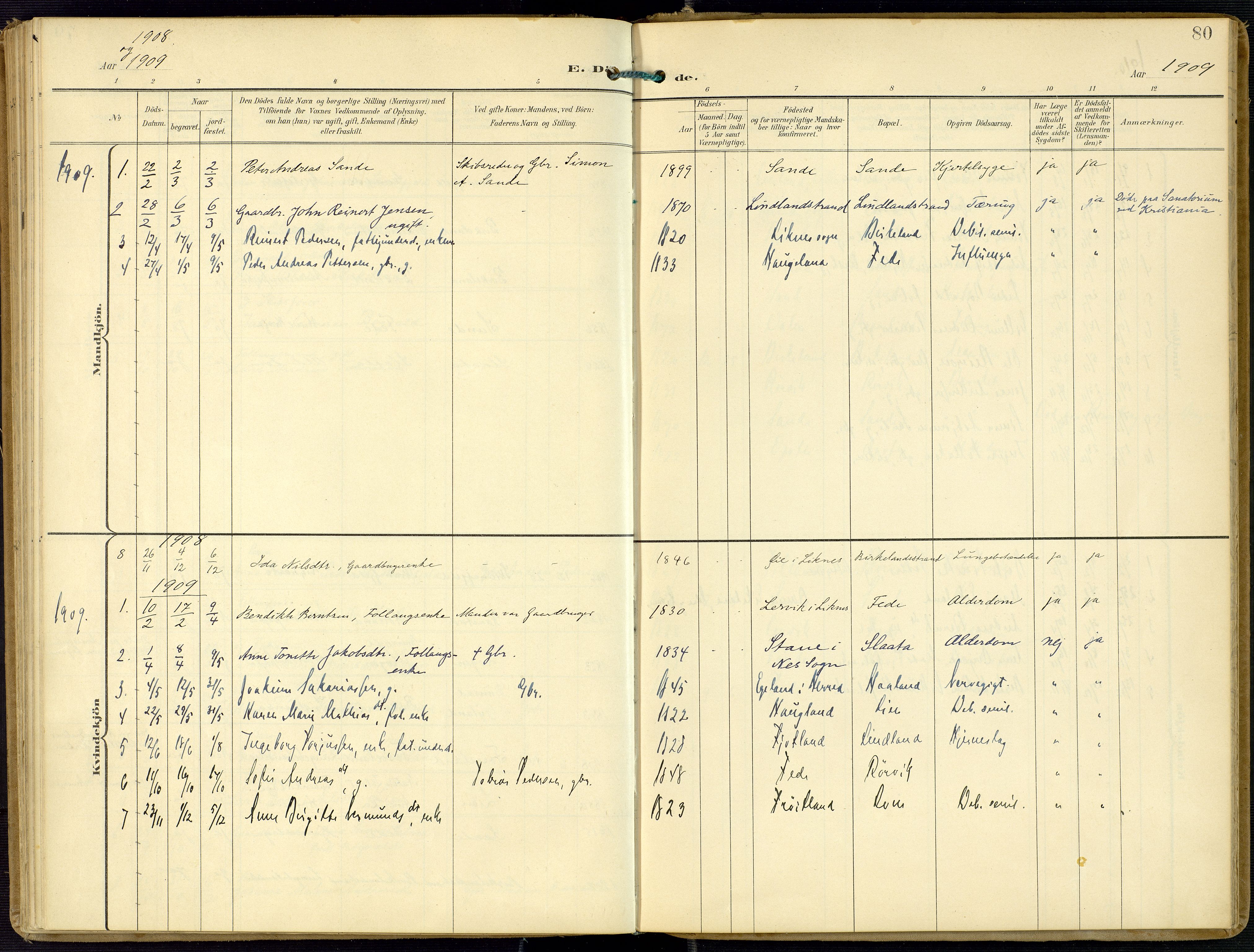 Kvinesdal sokneprestkontor, SAK/1111-0026/F/Fa/Faa/L0005: Parish register (official) no. A 5, 1898-1915, p. 80
