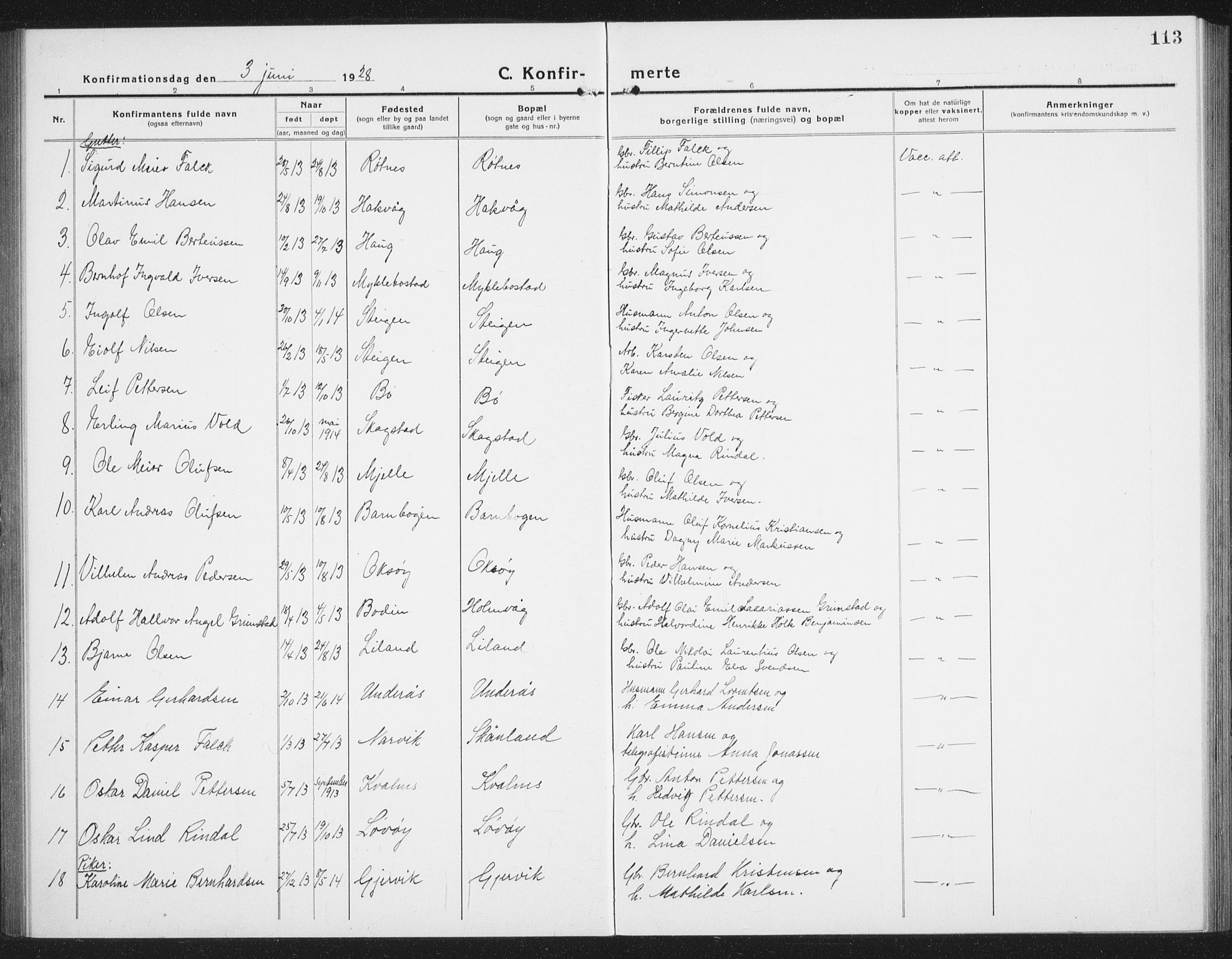 Ministerialprotokoller, klokkerbøker og fødselsregistre - Nordland, AV/SAT-A-1459/855/L0817: Parish register (copy) no. 855C06, 1917-1934, p. 113