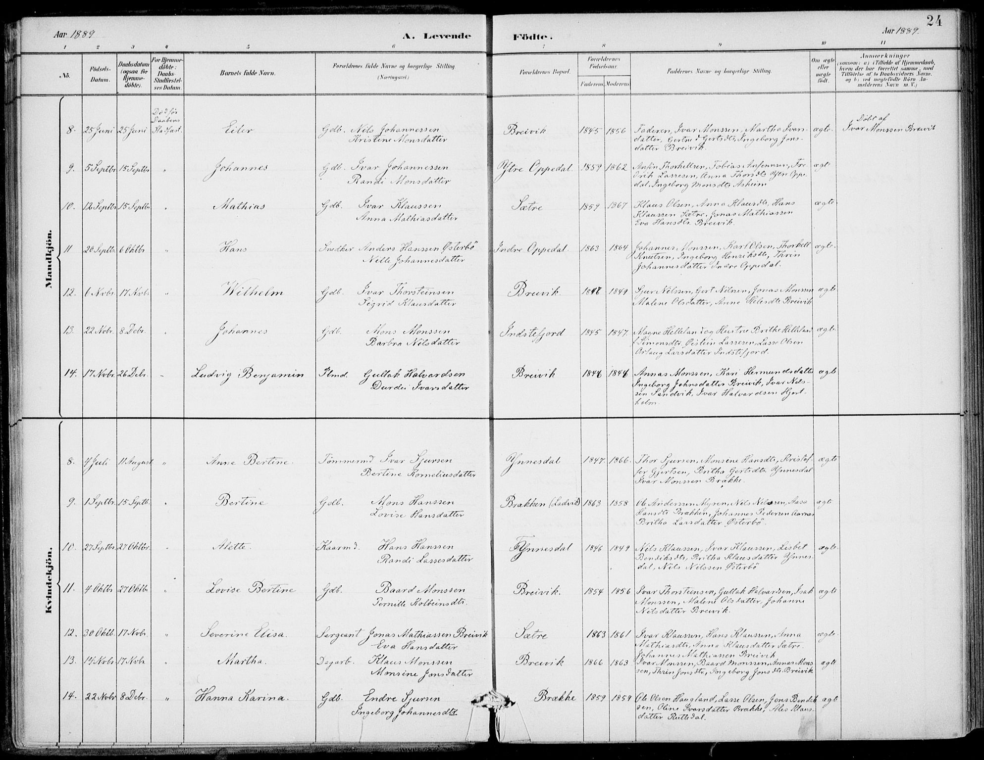 Gulen sokneprestembete, AV/SAB-A-80201/H/Haa/Haac/L0002: Parish register (official) no. C  2, 1882-1914, p. 24