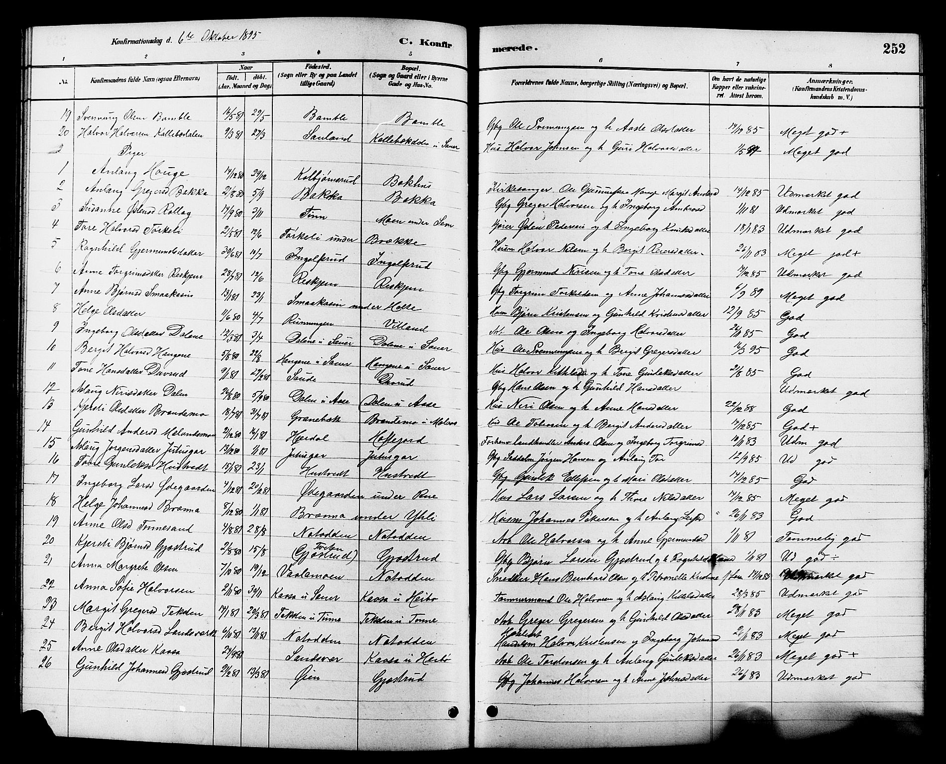 Heddal kirkebøker, SAKO/A-268/G/Ga/L0002: Parish register (copy) no. I 2, 1879-1908, p. 252