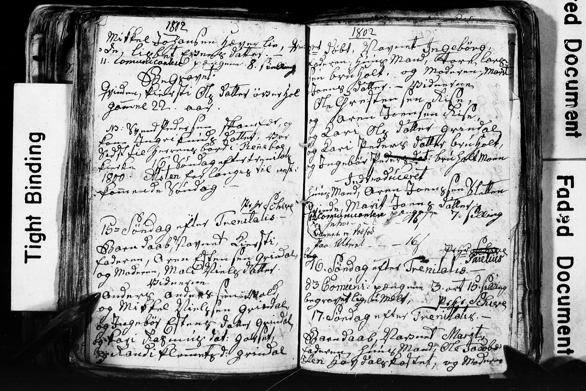 Ministerialprotokoller, klokkerbøker og fødselsregistre - Sør-Trøndelag, AV/SAT-A-1456/674/L0880: Parish register (copy) no. 674C07, 1795-1807