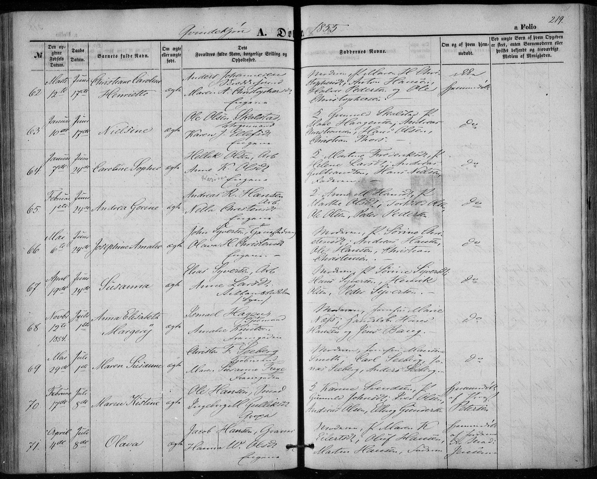 Bragernes kirkebøker, AV/SAKO-A-6/F/Fb/L0002: Parish register (official) no. II 2, 1848-1859, p. 219