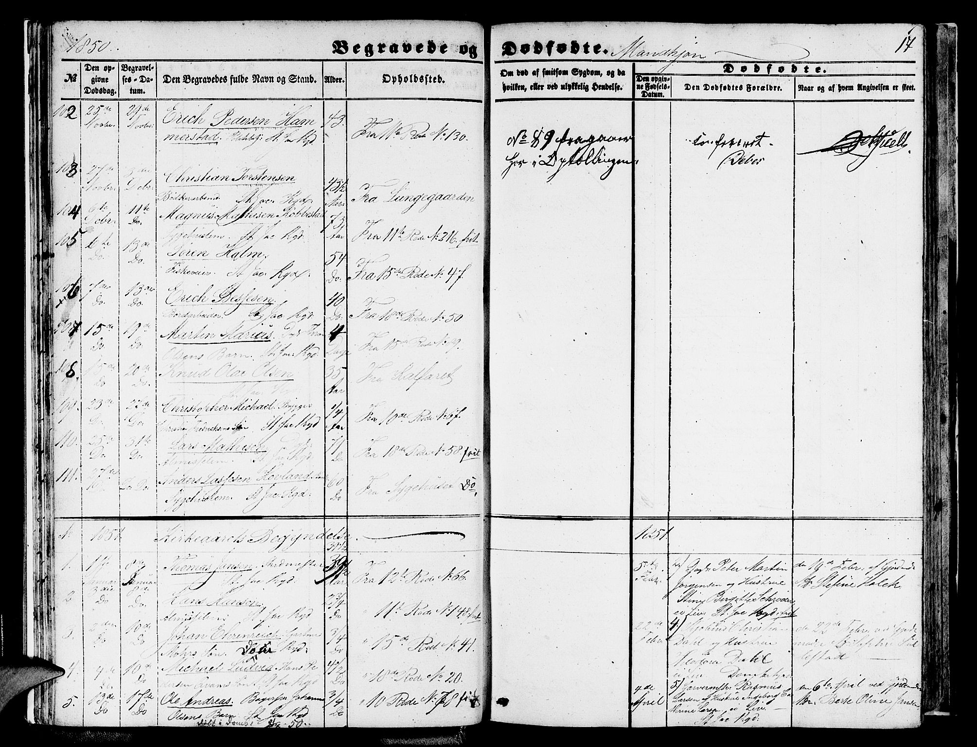 Domkirken sokneprestembete, SAB/A-74801/H/Hab/L0038: Parish register (copy) no. E 2, 1847-1859, p. 17