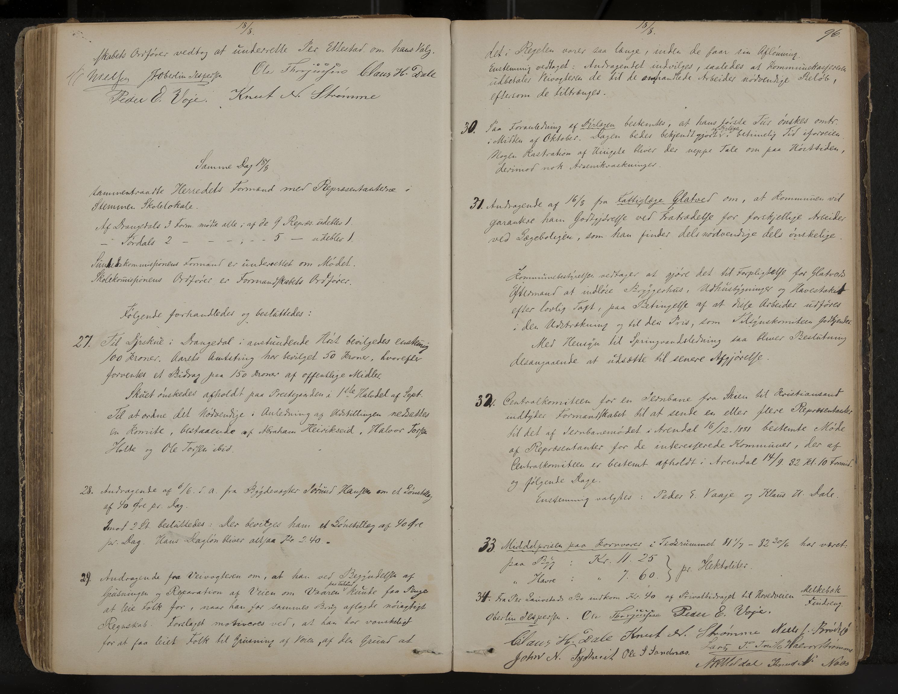 Drangedal formannskap og sentraladministrasjon, IKAK/0817021/A/L0002: Møtebok, 1870-1892, p. 96