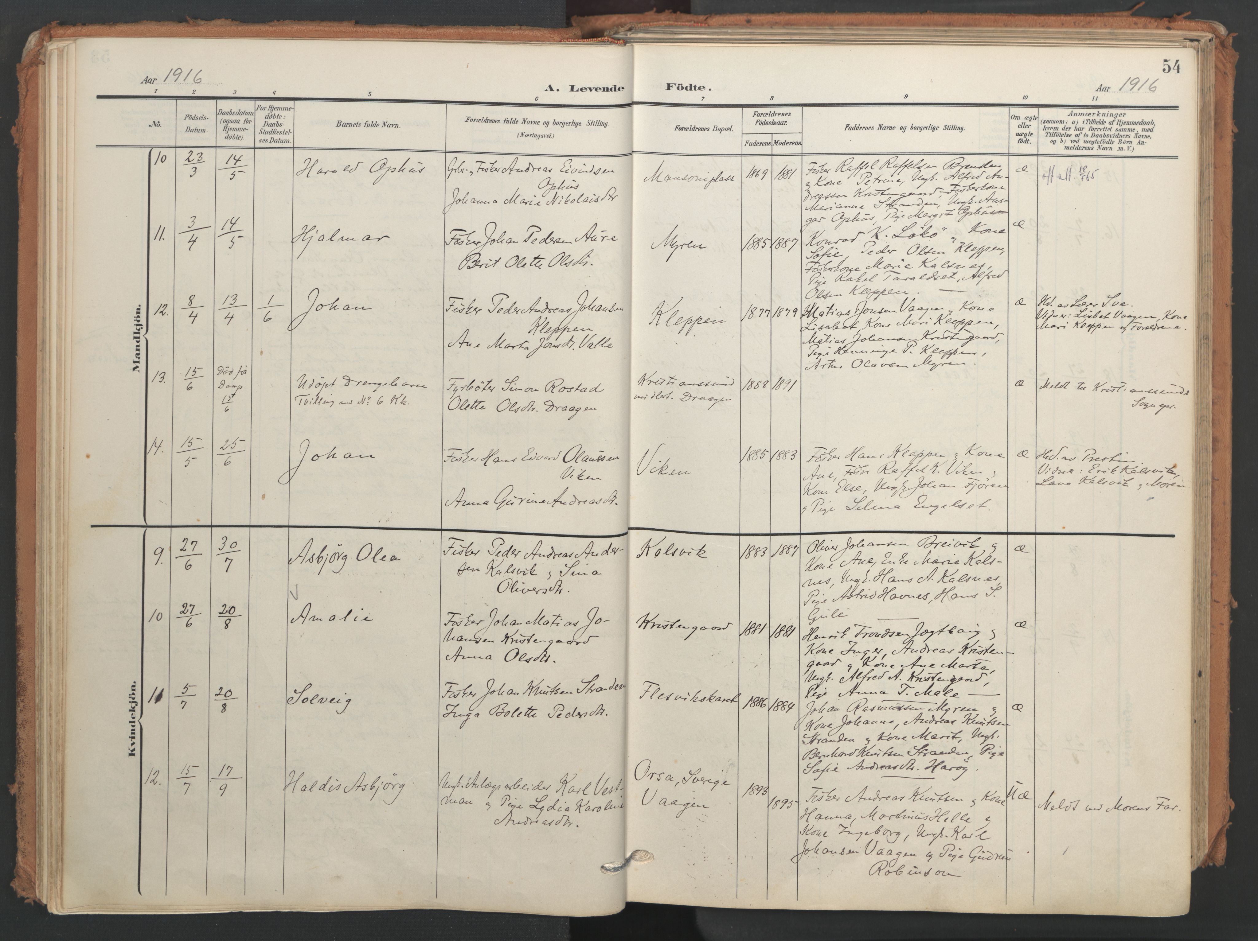 Ministerialprotokoller, klokkerbøker og fødselsregistre - Møre og Romsdal, AV/SAT-A-1454/566/L0771: Parish register (official) no. 566A10, 1904-1929, p. 54