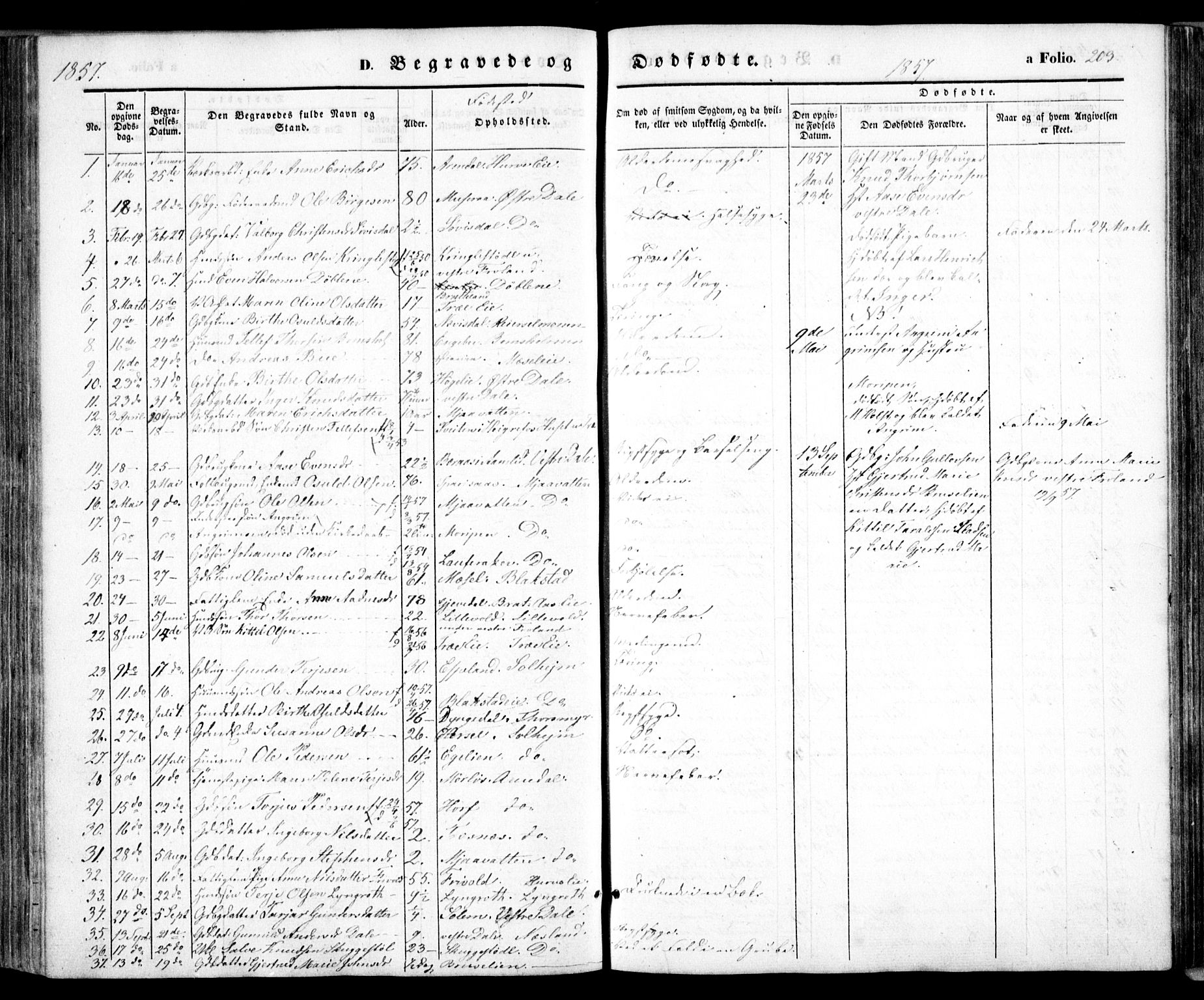 Froland sokneprestkontor, SAK/1111-0013/F/Fa/L0002: Parish register (official) no. A 2, 1845-1863, p. 203