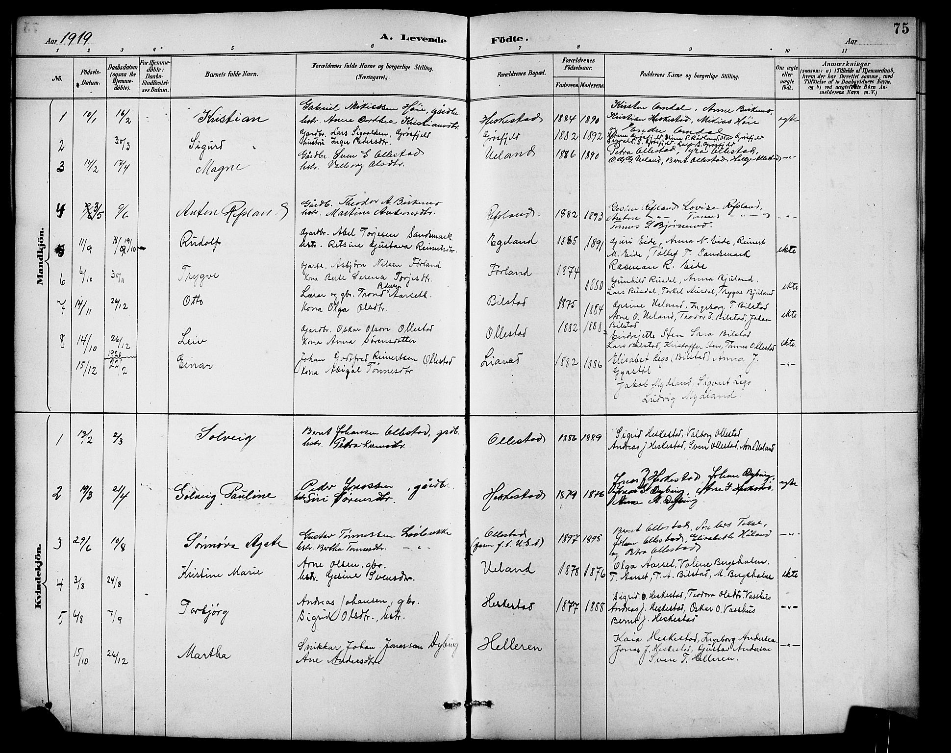 Lund sokneprestkontor, AV/SAST-A-101809/S07/L0007: Parish register (copy) no. B 7, 1890-1925, p. 75