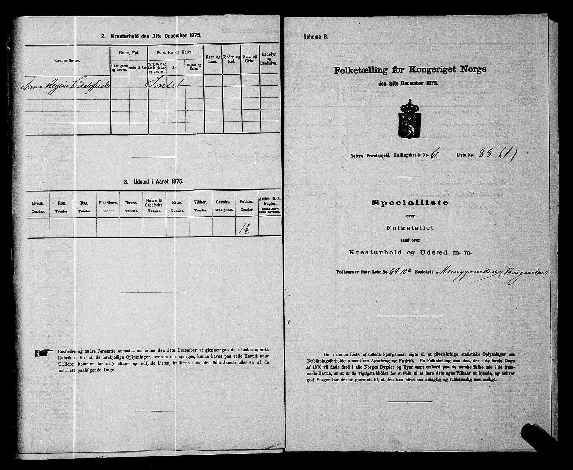 SAKO, 1875 census for 0722P Nøtterøy, 1875, p. 1331