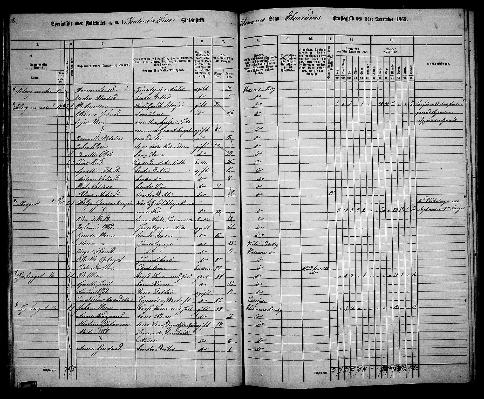 RA, 1865 census for Elverum, 1865, p. 45