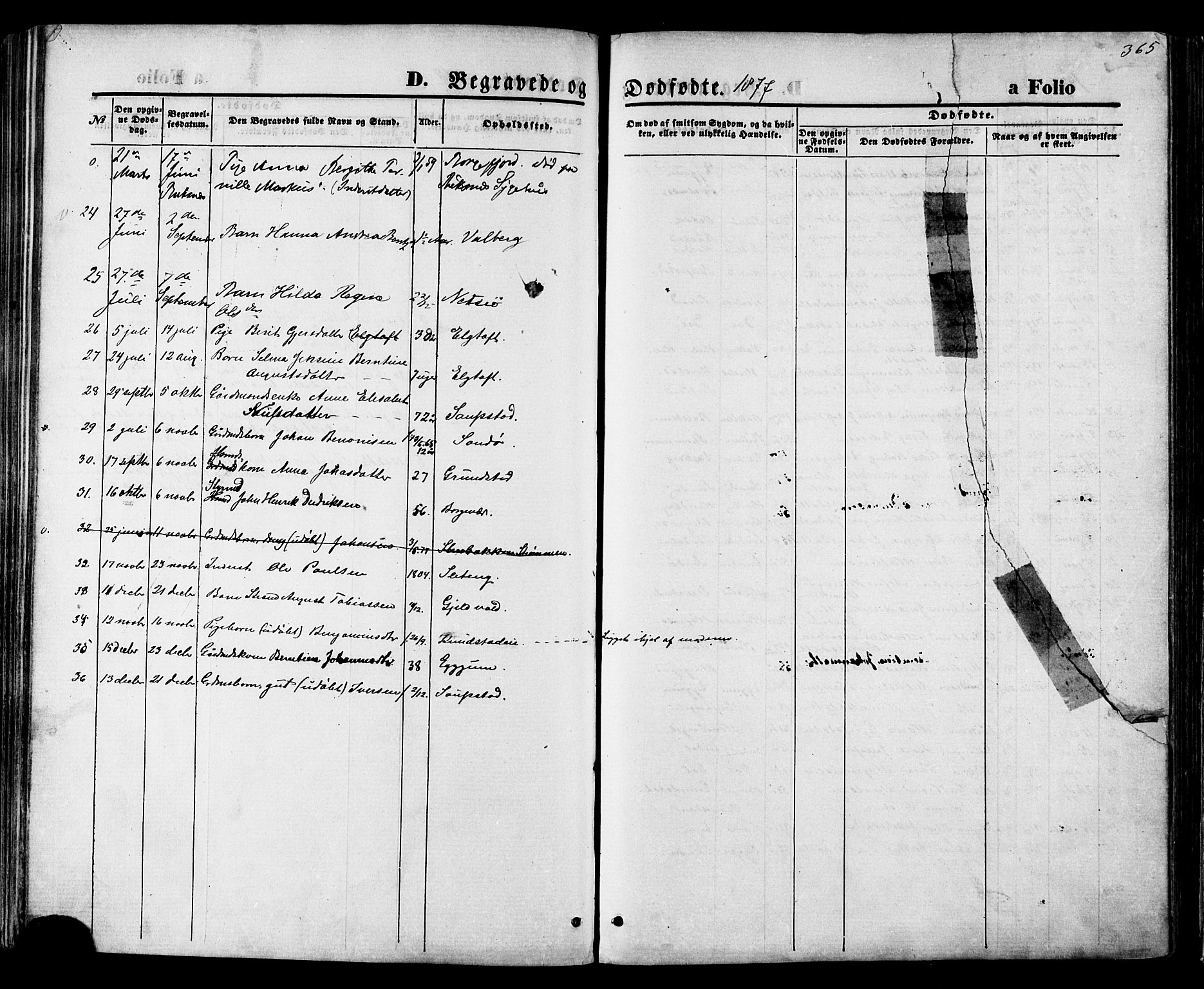 Ministerialprotokoller, klokkerbøker og fødselsregistre - Nordland, SAT/A-1459/880/L1132: Parish register (official) no. 880A06, 1869-1887, p. 365