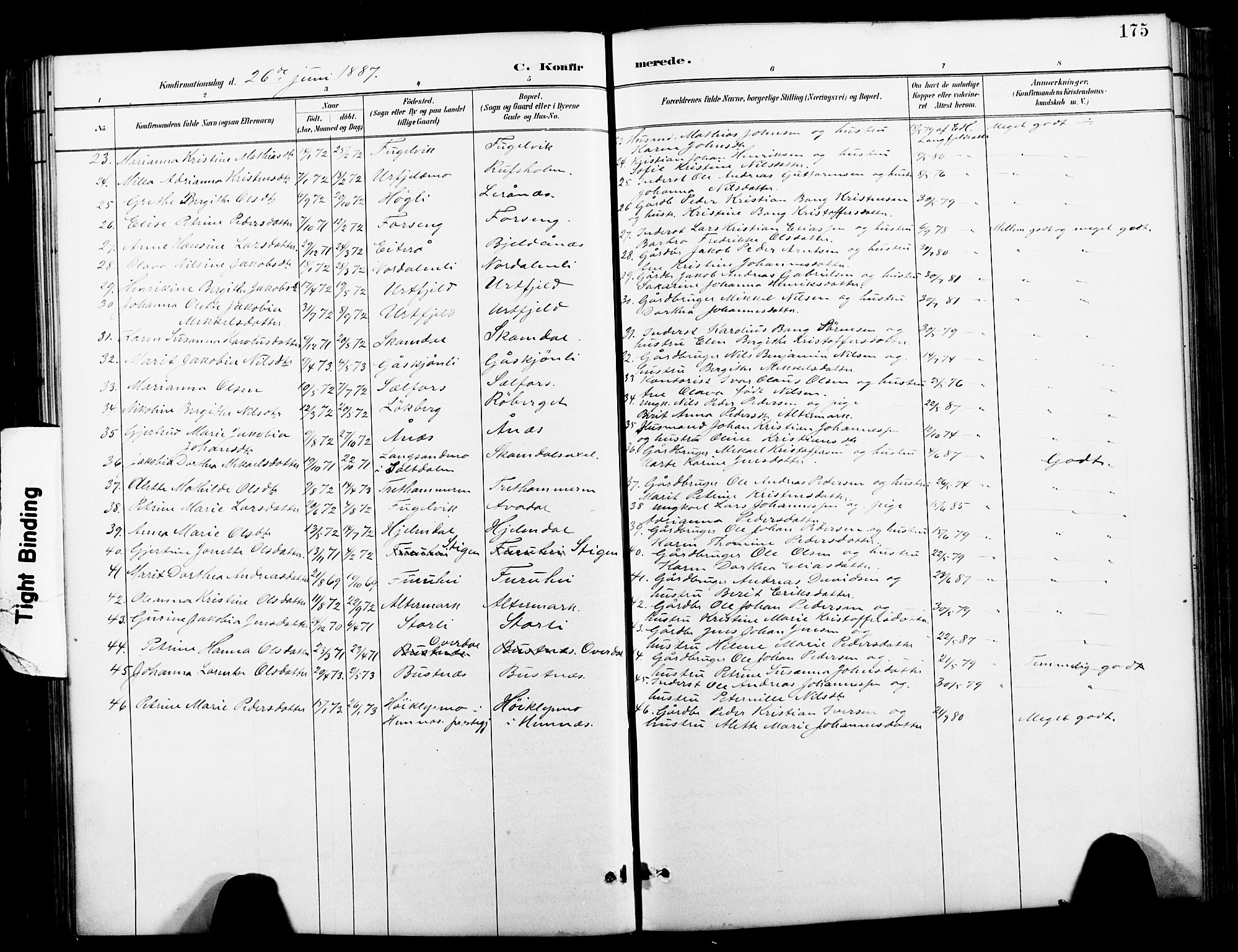 Ministerialprotokoller, klokkerbøker og fødselsregistre - Nordland, SAT/A-1459/827/L0421: Parish register (copy) no. 827C10, 1887-1906, p. 175