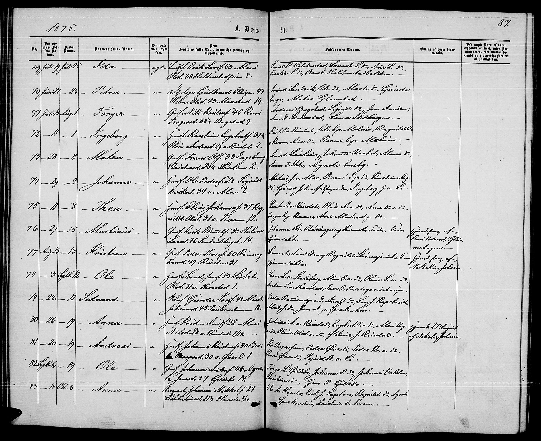 Øyer prestekontor, AV/SAH-PREST-084/H/Ha/Hab/L0001: Parish register (copy) no. 1, 1863-1877, p. 87