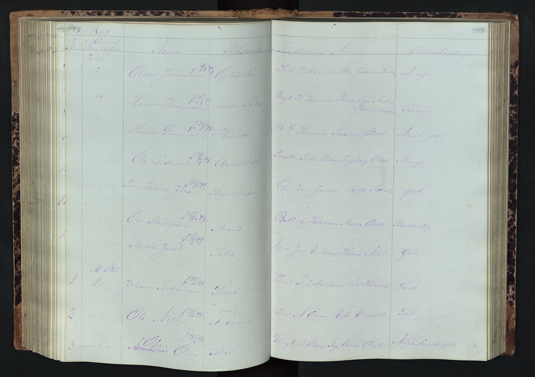 Stor-Elvdal prestekontor, SAH/PREST-052/H/Ha/Hab/L0001: Parish register (copy) no. 1 /1, 1860-1894, p. 447-448