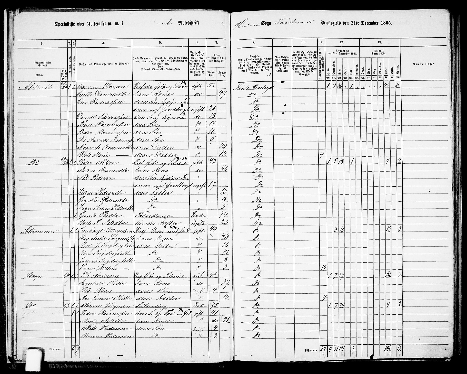 RA, 1865 census for Nedstrand, 1865, p. 25