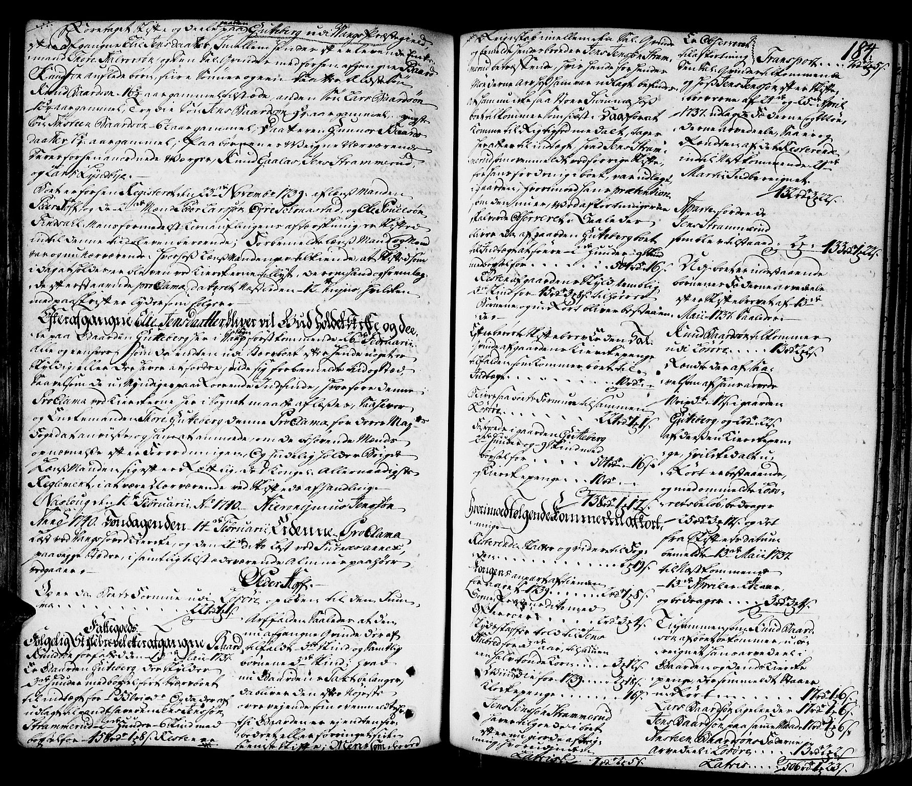 Hedemarken sorenskriveri, SAH/TING-034/J/Ja/L0011: Skifteprotokoll, 1736-1743, p. 183b-184a