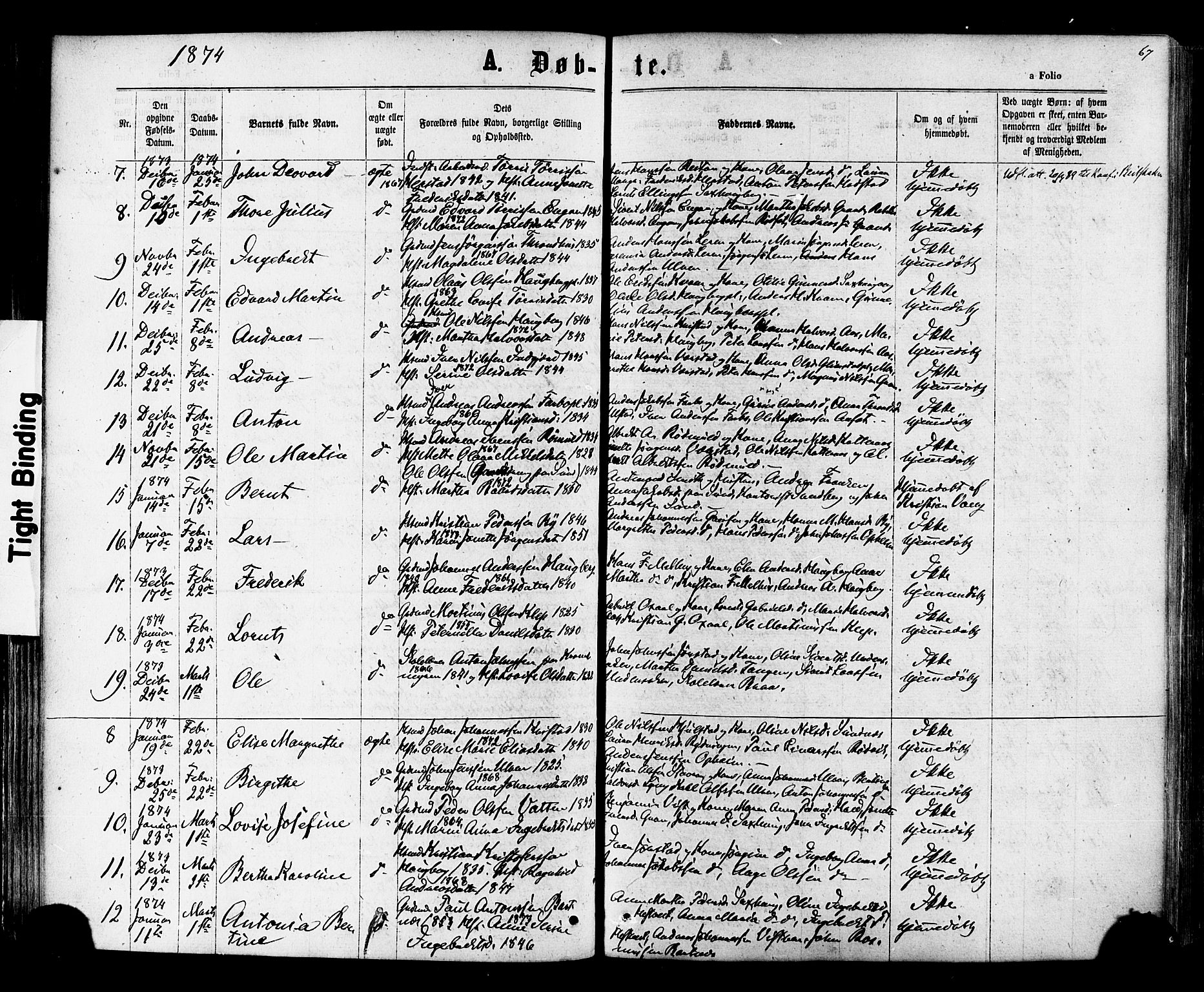 Ministerialprotokoller, klokkerbøker og fødselsregistre - Nord-Trøndelag, AV/SAT-A-1458/730/L0284: Parish register (official) no. 730A09, 1866-1878, p. 67