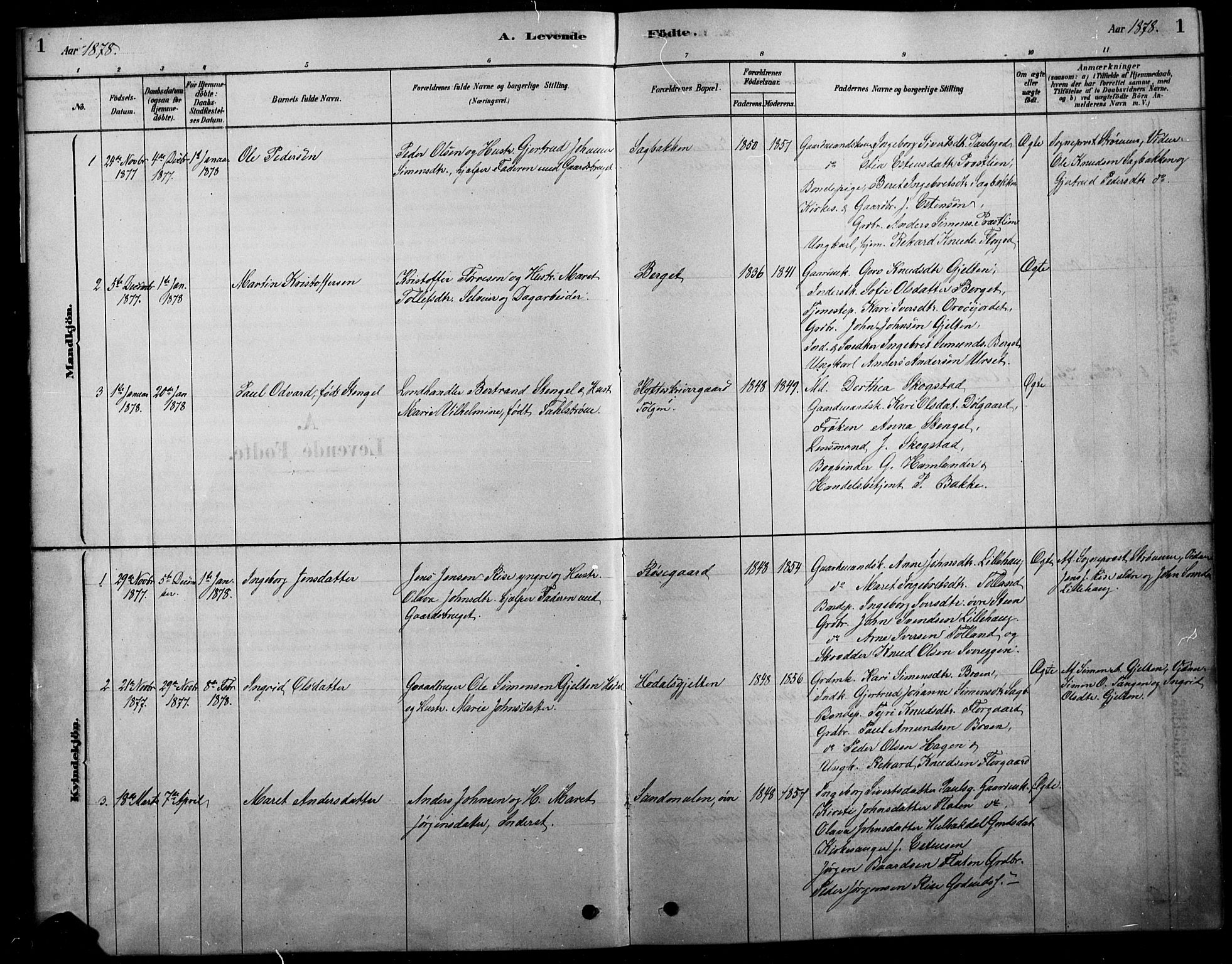 Tolga prestekontor, AV/SAH-PREST-062/L/L0007: Parish register (copy) no. 7, 1878-1919, p. 1